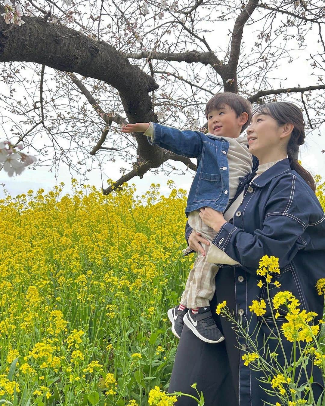 渡辺順子さんのインスタグラム写真 - (渡辺順子Instagram)「憧れの菜の花と桜のコラボを求めて #熊谷桜堤 へ行ってみたけど…  早すぎて🌸ほぼ咲いてなかった 東京では満開だったから 熊谷あたりも咲いてるかな～と 思って行った日の事です #過去ピク   東京の満開🌸から1週間後くらいが 見頃だったみたいなので 来年はそれを目指してリベンジしたいと思った 2022春なのでした😂←2023の間違いwww  菜の花はThe黄色の絨毯💛 って感じで めちゃくちゃ綺麗で見応えがあったよ😍  ちなみに隣の公園の方が 桜は咲いていた  #春の風物詩🌸 #関東桜スポット #桜スポット巡り #子どもとおでかけ #子連れスポット #菜の花畑 #桜と菜の花 #sakura🌸 #kumagayaplace #kumagayasakuratsutsumi #親子モデル #菜の花スポット」4月9日 13時22分 - nabejun_room