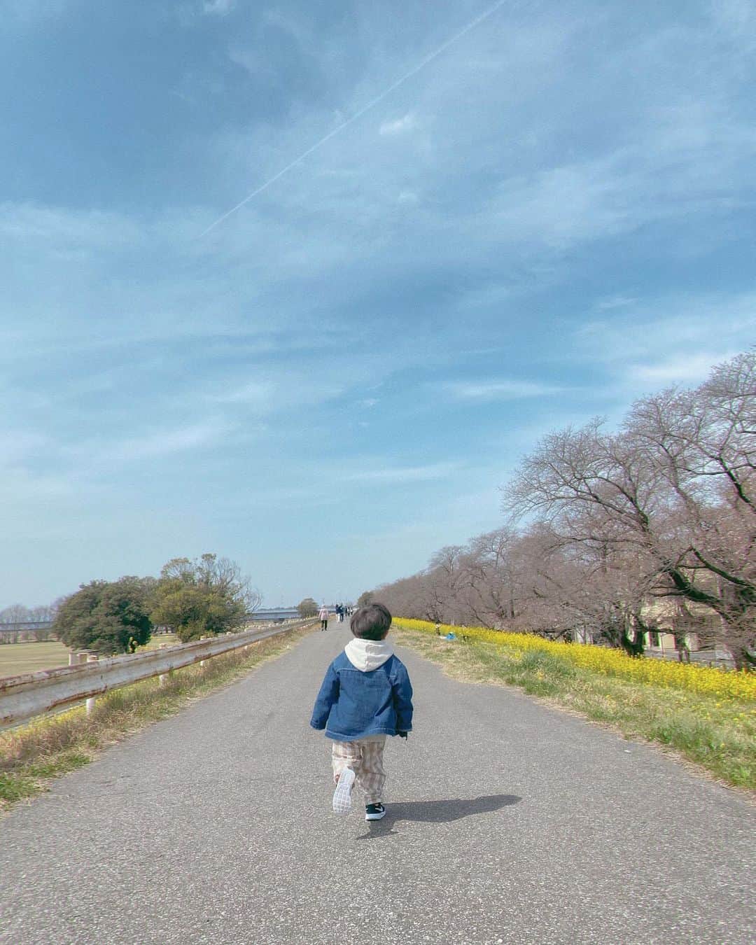 渡辺順子さんのインスタグラム写真 - (渡辺順子Instagram)「憧れの菜の花と桜のコラボを求めて #熊谷桜堤 へ行ってみたけど…  早すぎて🌸ほぼ咲いてなかった 東京では満開だったから 熊谷あたりも咲いてるかな～と 思って行った日の事です #過去ピク   東京の満開🌸から1週間後くらいが 見頃だったみたいなので 来年はそれを目指してリベンジしたいと思った 2022春なのでした😂←2023の間違いwww  菜の花はThe黄色の絨毯💛 って感じで めちゃくちゃ綺麗で見応えがあったよ😍  ちなみに隣の公園の方が 桜は咲いていた  #春の風物詩🌸 #関東桜スポット #桜スポット巡り #子どもとおでかけ #子連れスポット #菜の花畑 #桜と菜の花 #sakura🌸 #kumagayaplace #kumagayasakuratsutsumi #親子モデル #菜の花スポット」4月9日 13時22分 - nabejun_room