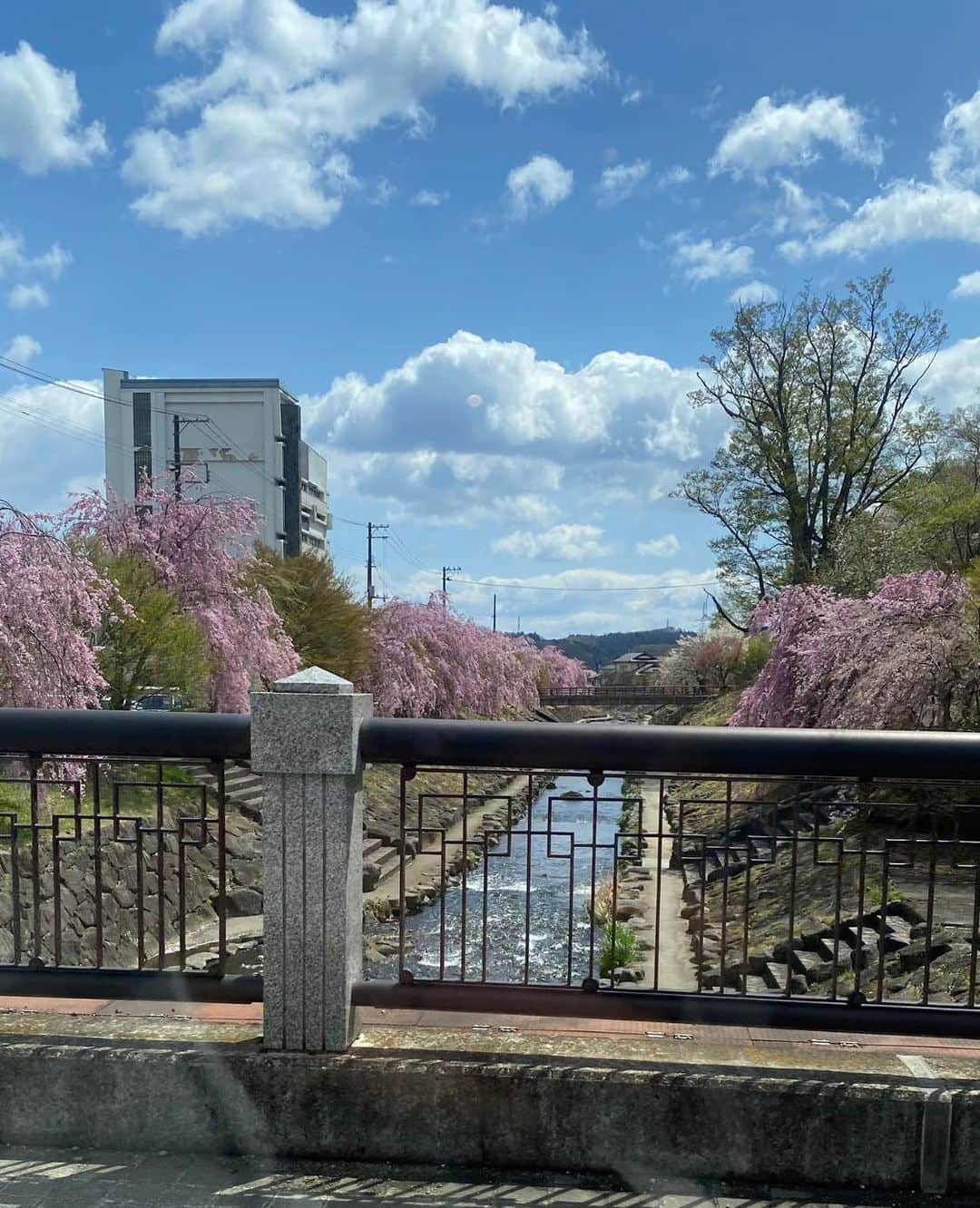 森まさこさんのインスタグラム写真 - (森まさこInstagram)「白河市の新橋から桜🌸を眺めて。」4月9日 13時30分 - mori_masako_