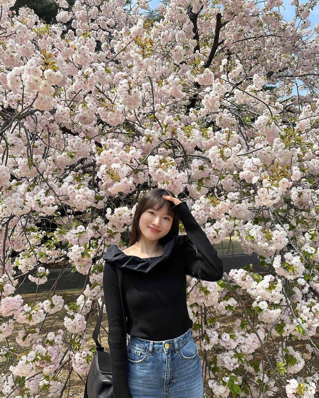 吉竹美聡のインスタグラム：「春満喫🌸🥖💛 オフショルニット1枚で過ごせる ポカポカ日和🐣良い日曜日を🫶🏻  @sorin__official #SORINstyle #sorin」