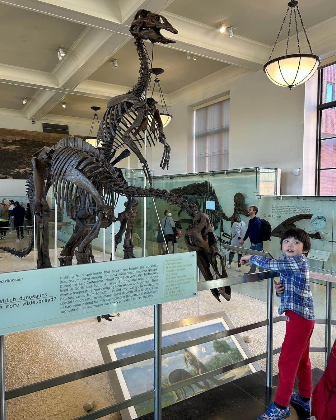 中岡由佳さんのインスタグラム写真 - (中岡由佳Instagram)「❇︎ 2023.04.02 アメリカ自然史博物館はセントラルパークの西、West77thから81thにかけての広い敷地に立っています。テーマは「自然と人間との対話」スケールが大きくて、どの展示も引き込まれました👀 #americanmusemofnaturalhistory  #dinosaur #nyc」4月9日 13時49分 - yuka_nakaoka
