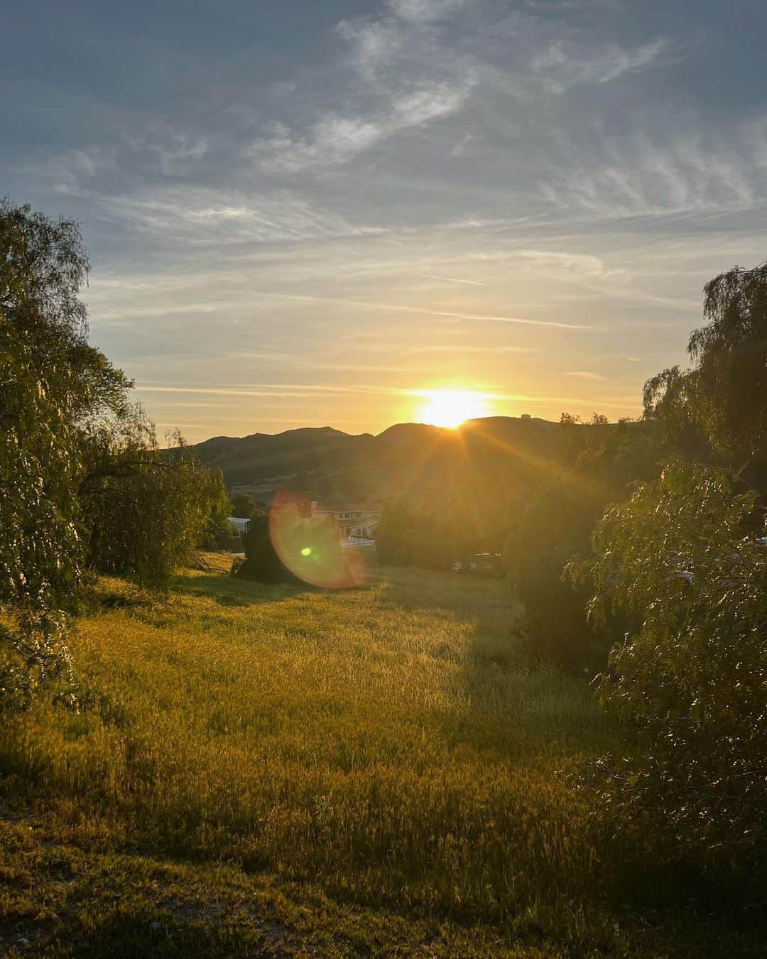 タイラー・ブラックバーンさんのインスタグラム写真 - (タイラー・ブラックバーンInstagram)「🌾」4月9日 13時51分 - tylerjblackburn