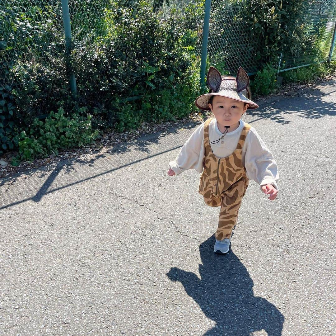 宇佐美彩さんのインスタグラム写真 - (宇佐美彩Instagram)「けものフレンズか🐯🐾  #キッズコーデ #キッズファッション #こどものいる暮らし #こどもと暮らす #elfinfolk #키즈룩 #키즈펜션 #아들스타그램 #데일리록 #옷스타그램 #코디」4月9日 14時09分 - o0oayankeyo0o