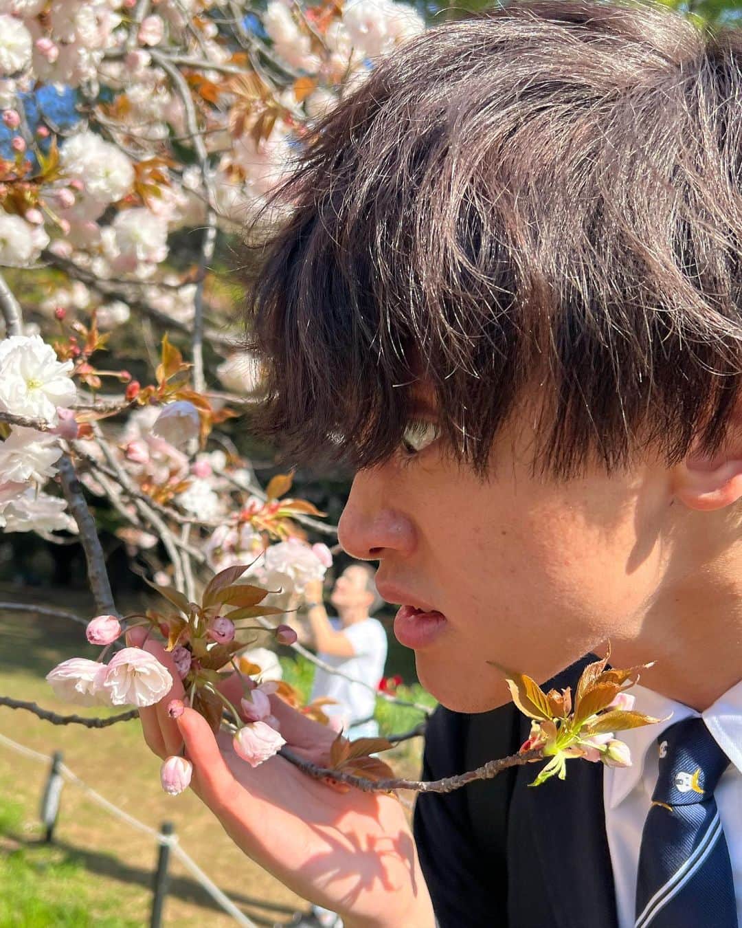 かっつーさんのインスタグラム写真 - (かっつーInstagram)「桜を見ました。新生活がんばりましょう #お花見 #ナンパされませんでした #知ってます」4月9日 19時36分 - kattu0403