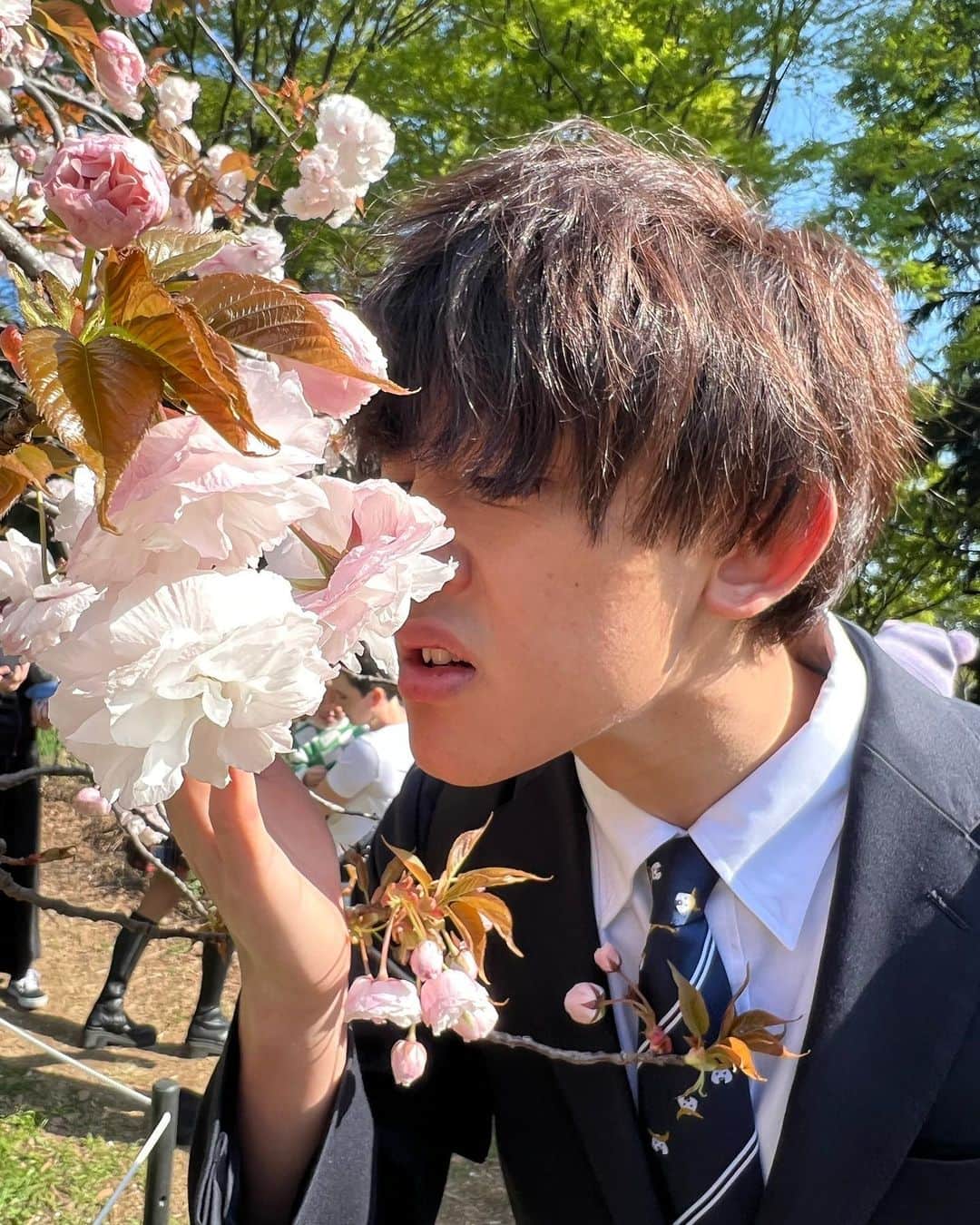 かっつーさんのインスタグラム写真 - (かっつーInstagram)「桜を見ました。新生活がんばりましょう #お花見 #ナンパされませんでした #知ってます」4月9日 19時36分 - kattu0403