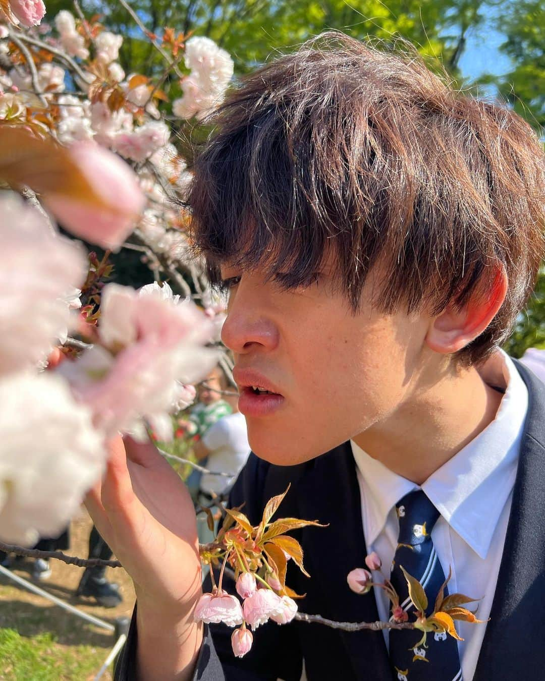 かっつーさんのインスタグラム写真 - (かっつーInstagram)「桜を見ました。新生活がんばりましょう #お花見 #ナンパされませんでした #知ってます」4月9日 19時36分 - kattu0403