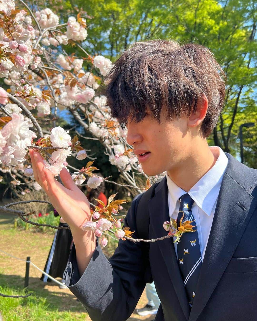 かっつーのインスタグラム：「桜を見ました。新生活がんばりましょう #お花見 #ナンパされませんでした #知ってます」