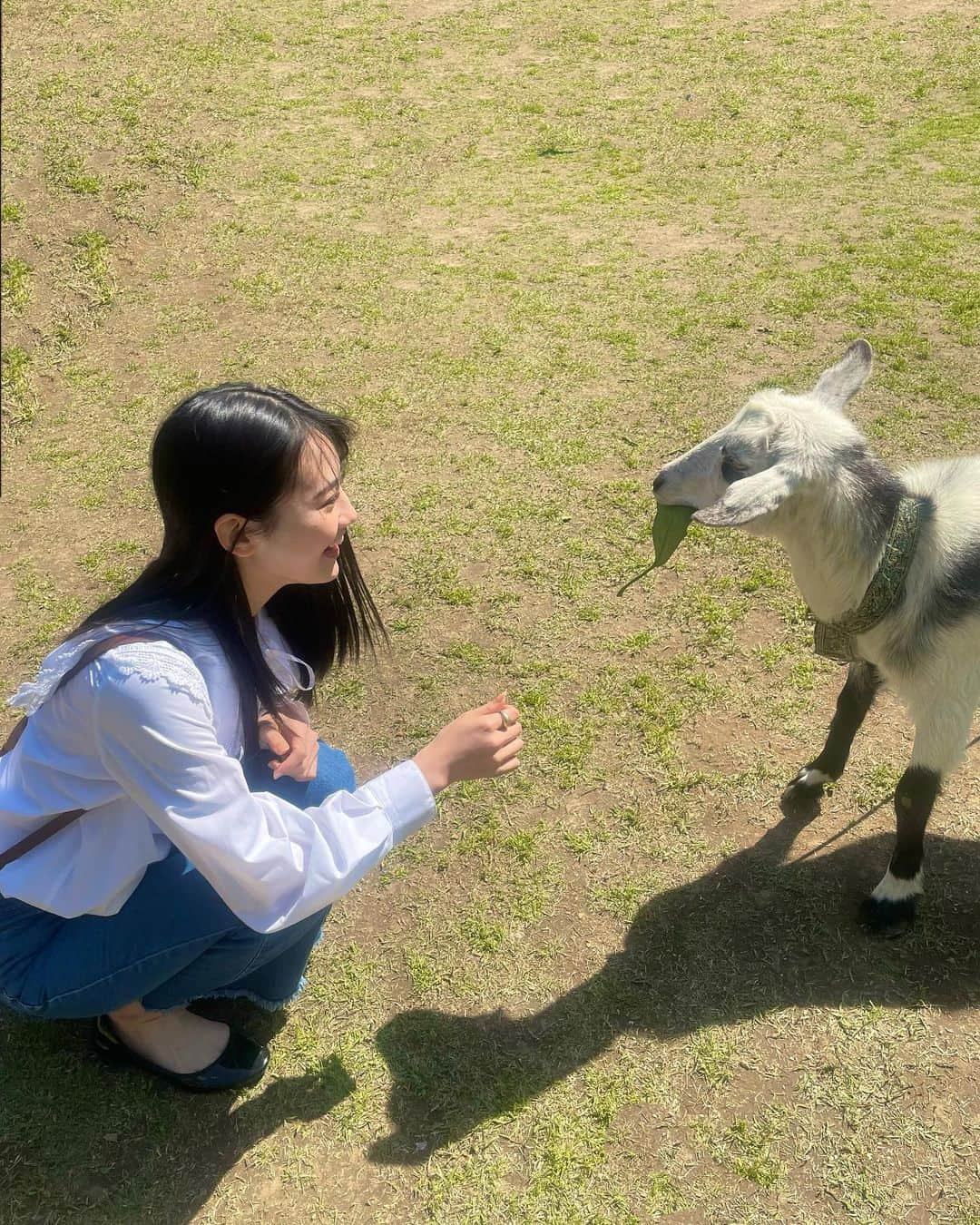 関谷瑠紀さんのインスタグラム写真 - (関谷瑠紀Instagram)「地元のお祭り行った🌱𓂃 𓈒𓏸 もう葉桜になってて残念だったけど、  やぎに餌やれたからにこにこになりました ⁡ #るきこーで #関谷瑠紀」4月9日 19時37分 - ruki_0808