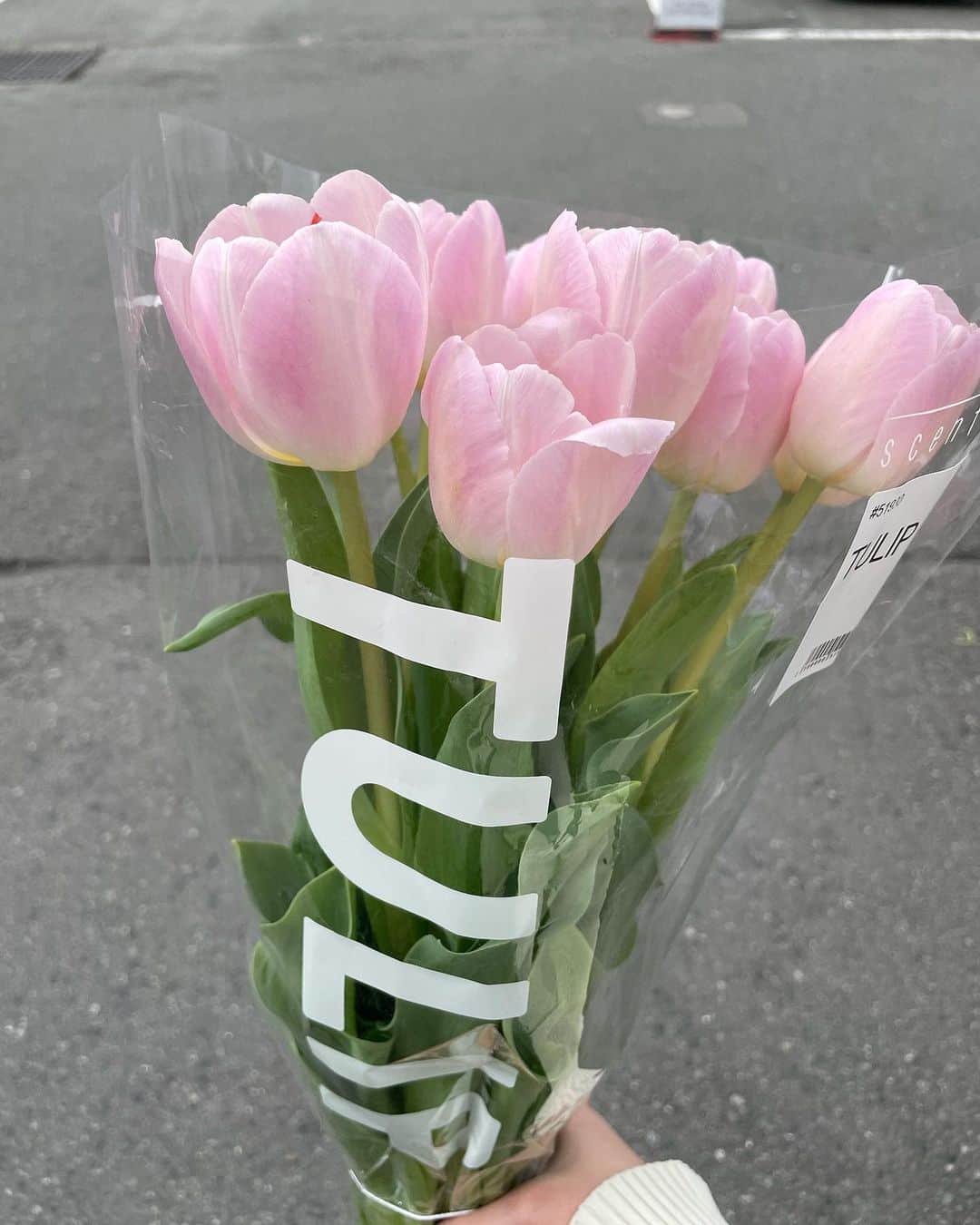 ムサシさんのインスタグラム写真 - (ムサシInstagram)「🛒 Costcoで見つけた チューリップが可愛い〜🌷 ⁡ #tulip #costco #コストコ #コストコ購入品」4月9日 19時38分 - ___musashi.___