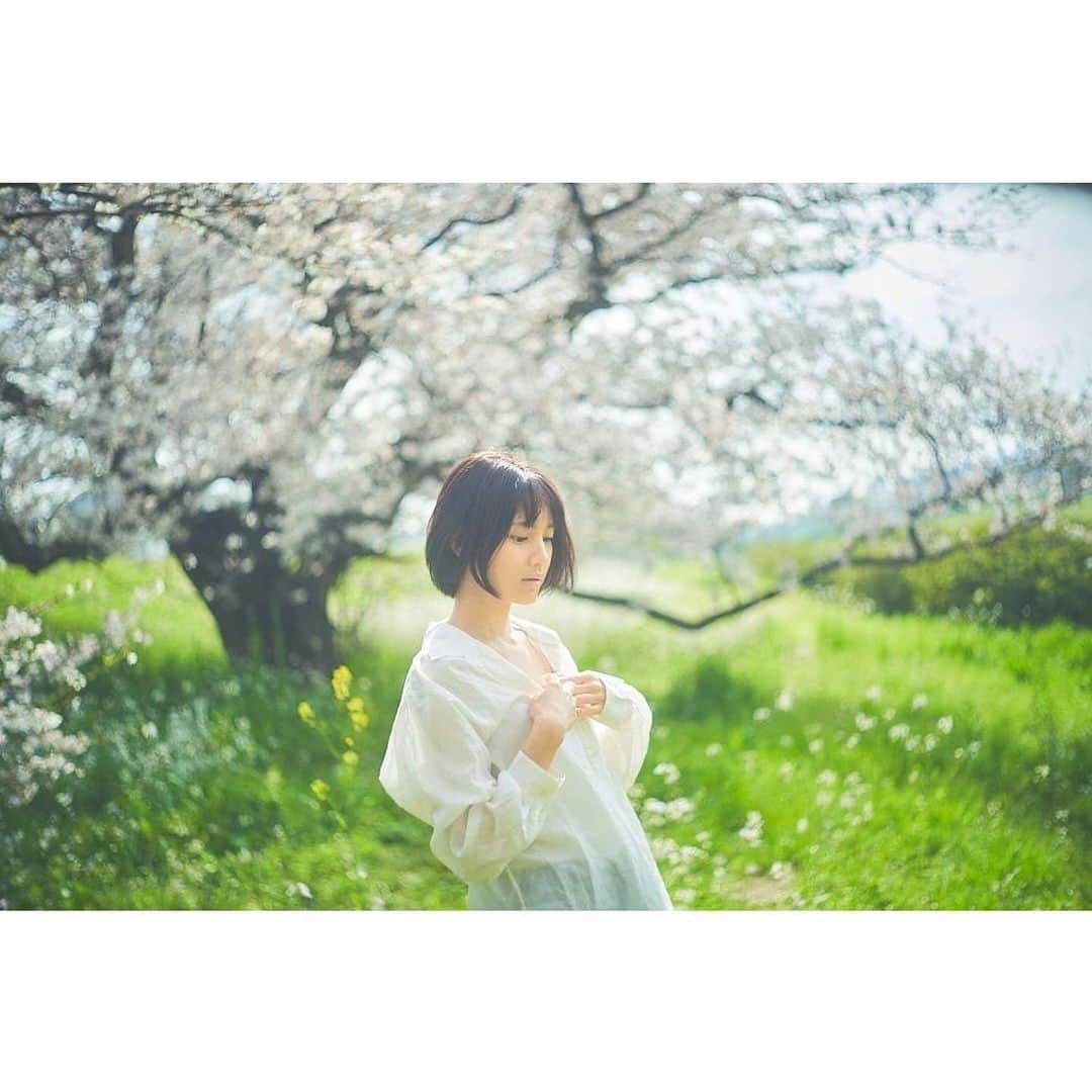 今泉マヤさんのインスタグラム写真 - (今泉マヤInstagram)「〜🌸♩✴︎  #桜2023  撮影していただきました🍃 photo:@go_ya5858   #sakura #sakuraphoto #cherryblossom」4月9日 14時18分 - maya.imaizumi