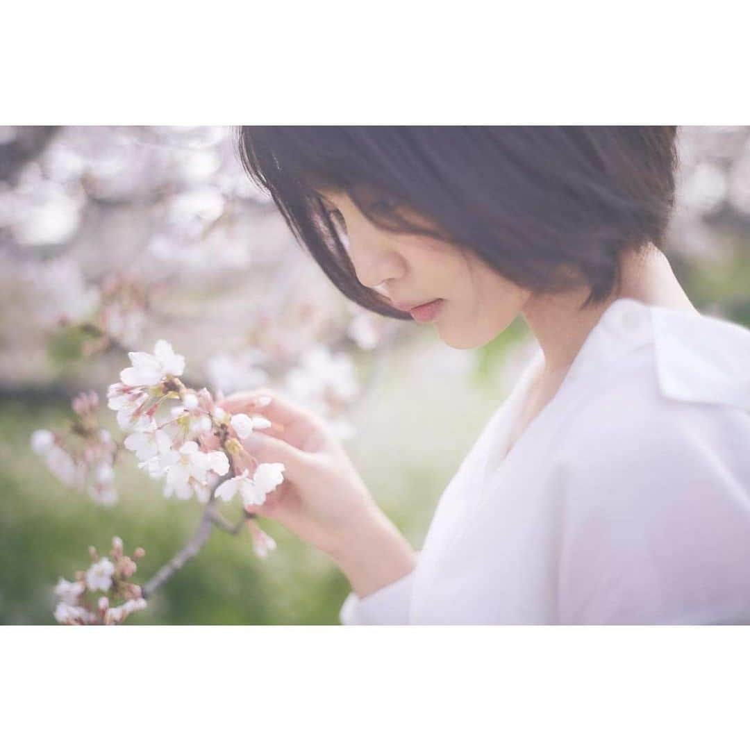 今泉マヤさんのインスタグラム写真 - (今泉マヤInstagram)「〜🌸♩✴︎  #桜2023  撮影していただきました🍃 photo:@go_ya5858   #sakura #sakuraphoto #cherryblossom」4月9日 14時18分 - maya.imaizumi