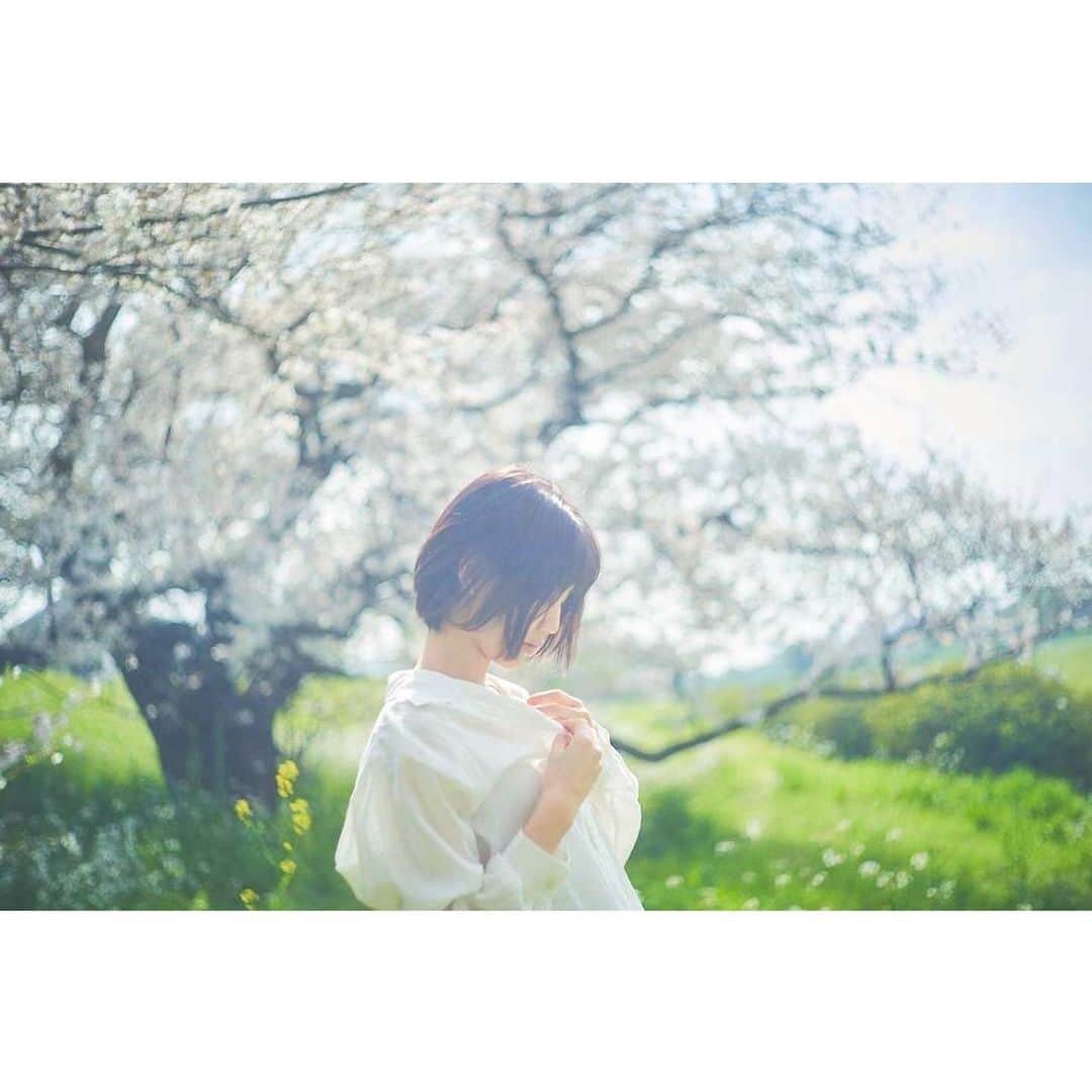 今泉マヤさんのインスタグラム写真 - (今泉マヤInstagram)「〜🌸♩✴︎  #桜2023  撮影していただきました🍃 photo:@go_ya5858   #sakura #sakuraphoto #cherryblossom」4月9日 14時18分 - maya.imaizumi