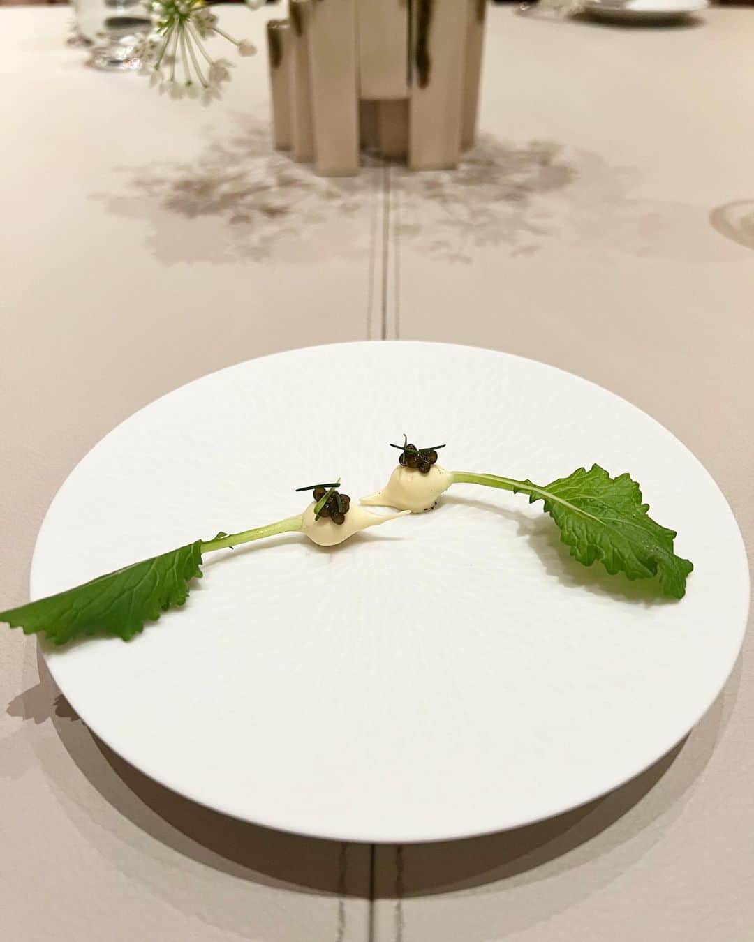 天本正通 のインスタグラム：「ダニエルありがとう😋  I Love... SEZANNE 👍✨✨」