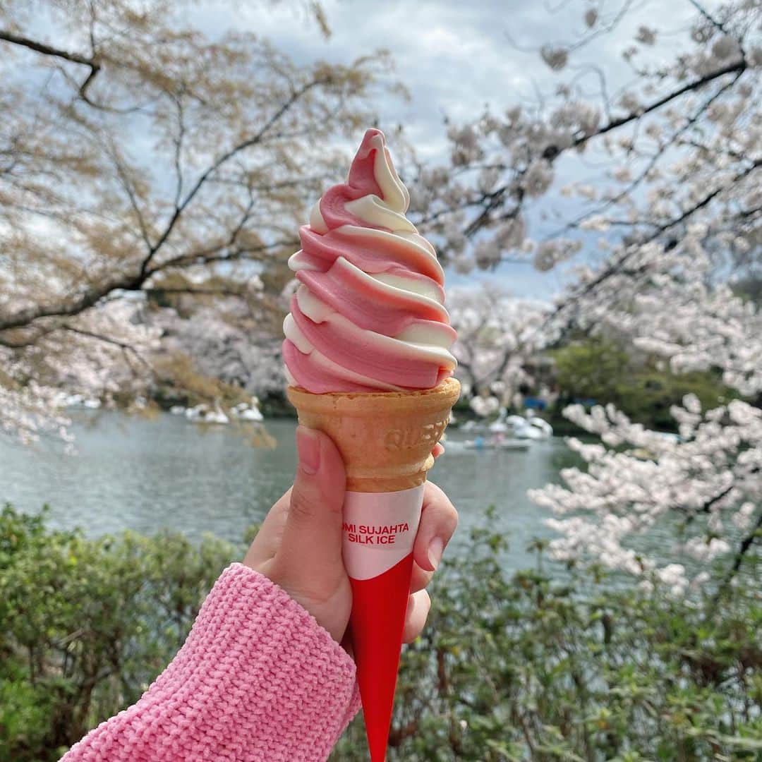 佐藤妃星のインスタグラム：「🍦🌸🍦  あいすぱくぱく  #akb48 #佐藤妃星 #00 #桜 #アイス #ソフトクリーム #井の頭公園 #🌸 #🍦」