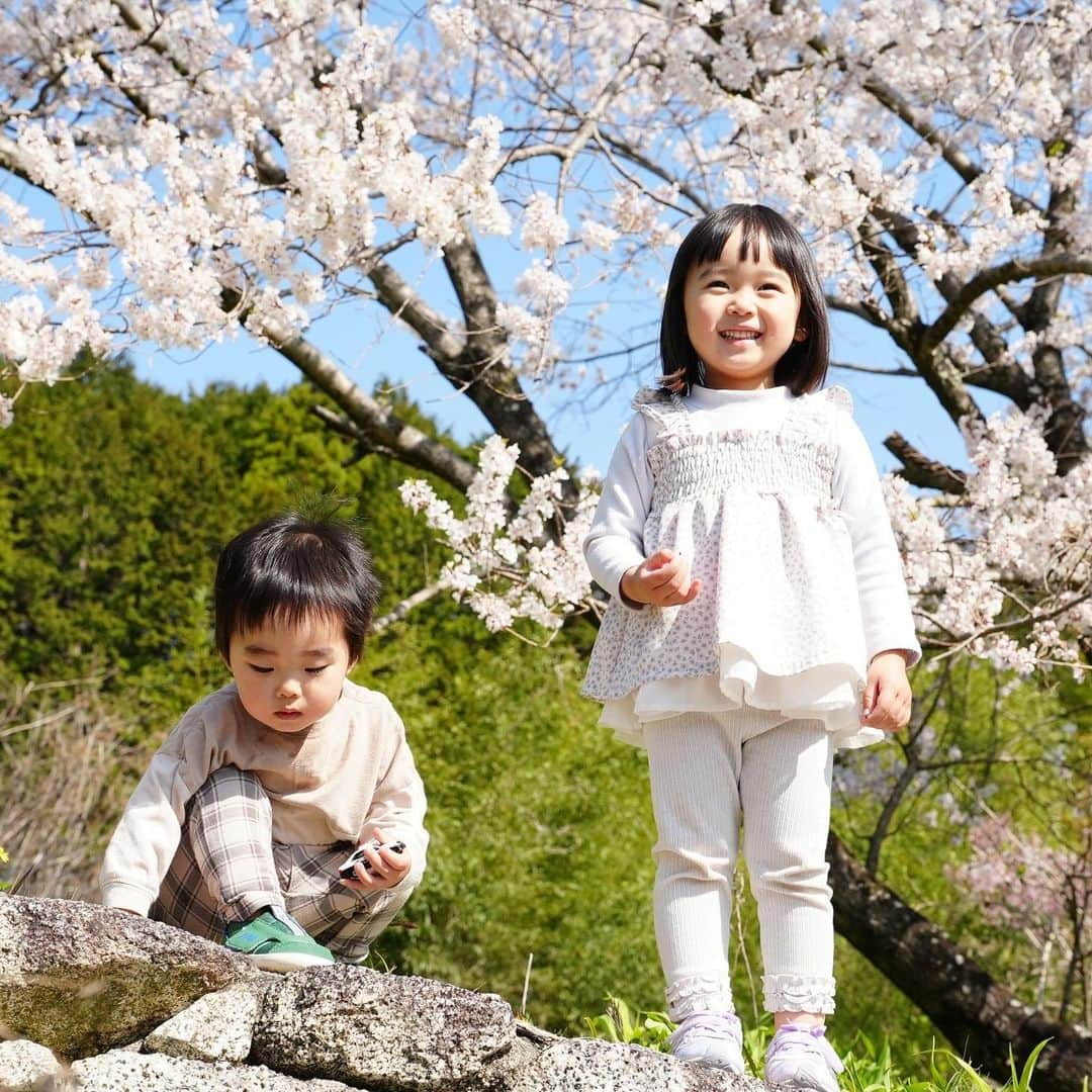 きりののインスタグラム：「自然が大好きな子ども達！  遊具がなくても花を見たり虫を探したりして2時間は遊んでくれます笑」