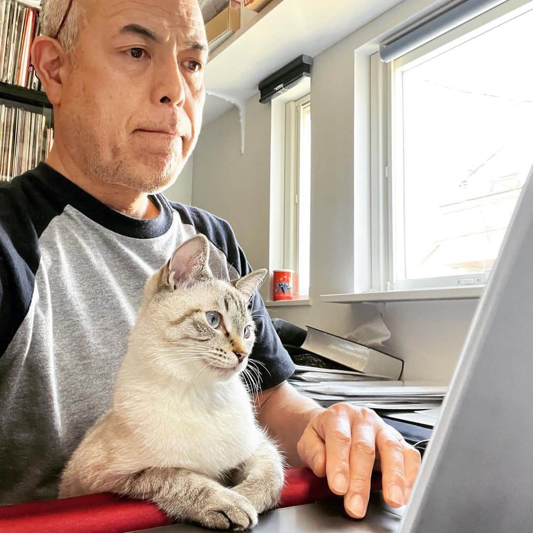 田中要次のインスタグラム：「一緒にエゴサ #猫Guri #Bo_nyans #猫のいる暮らし」