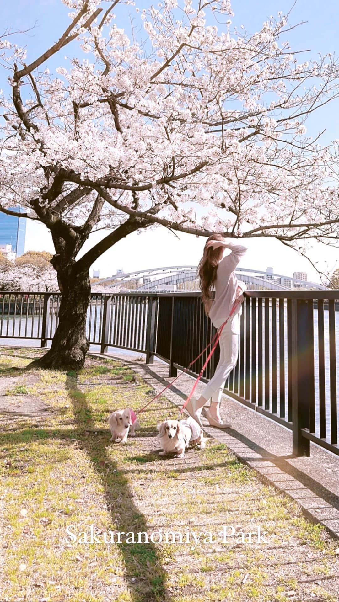 鈴木絢子のインスタグラム