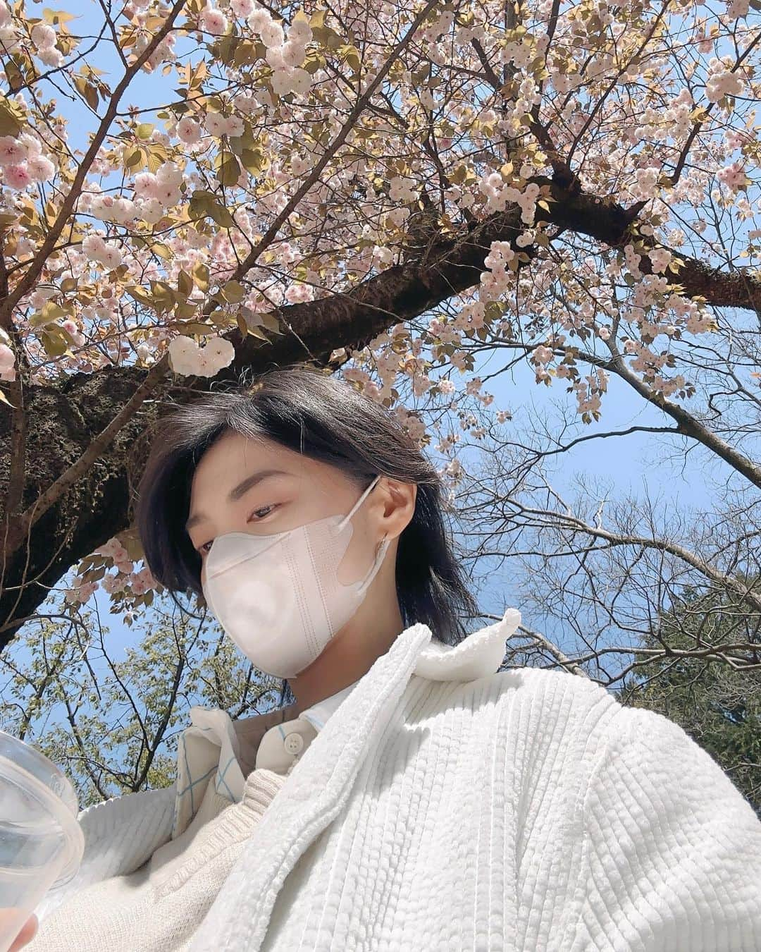 LOSTのインスタグラム：「最後の桜見🌸   #portrait  #selfie」