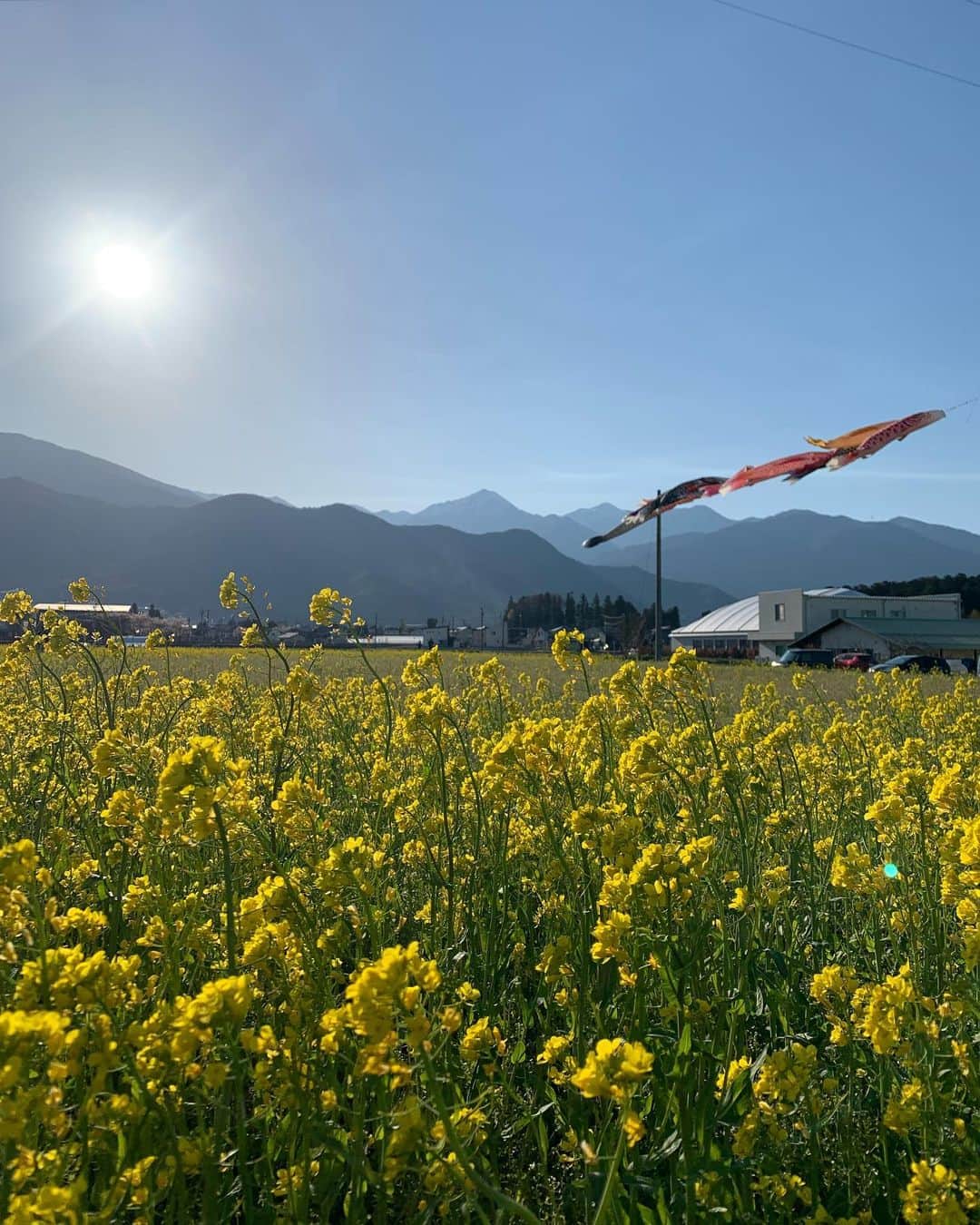 チックンとプーちゃんのふるさと? From Japan??のグルメインスタ