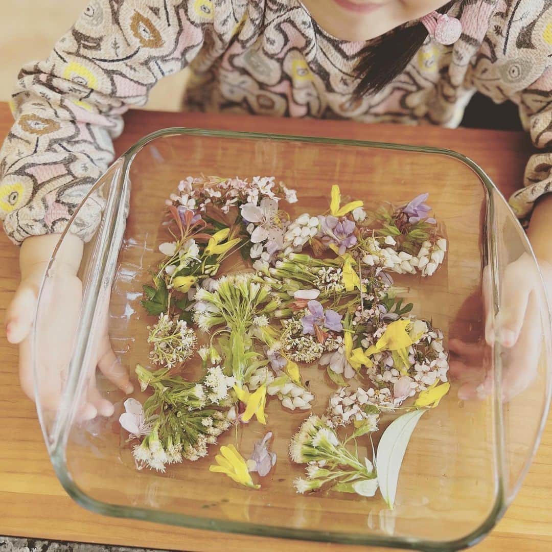 KIKIさんのインスタグラム写真 - (KIKIInstagram)「4歳シェフの今日の作品💐 裏庭で摘んだ花で #椿と柊」4月9日 16時36分 - kiki_campagnepremiere