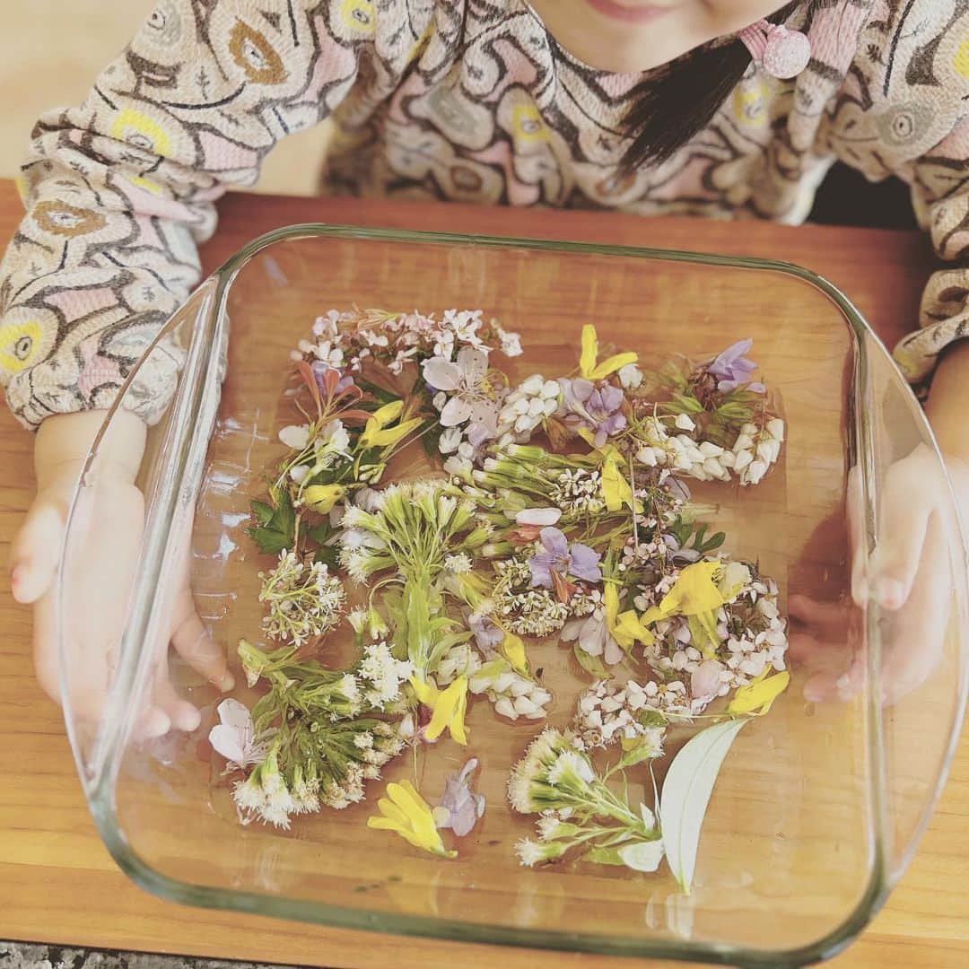 KIKIのインスタグラム：「4歳シェフの今日の作品💐 裏庭で摘んだ花で #椿と柊」