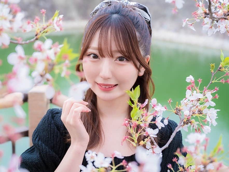 のインスタグラム：「久しぶりの投稿になってしまった🥺 ・ この前の撮影🌸他にも桜で撮影した写真沢山あるからまた載せていこ🌸♡ ・ ・ #桜　#桜スポット #撮影　#撮影会　#サロンモデル　#ハーフアップ　#ヘアアレンジ」