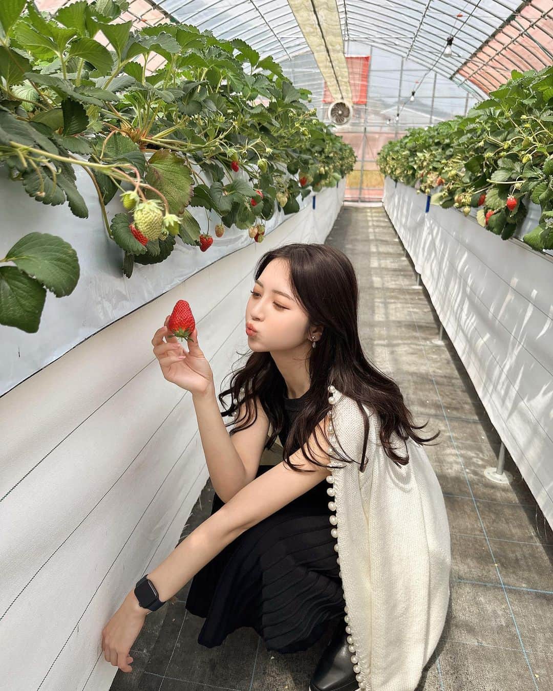 岸本沙季のインスタグラム：「今年初いちご狩り🍓 Apple Watchの可愛いベルト知ってる方教えて下さい🤣 ・ ・ ・ #いちご狩り」