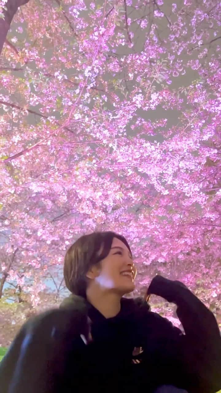 富久美玲のインスタグラム：「数秒だけ撮られてた夜桜が綺麗すぎた🫨🌸」