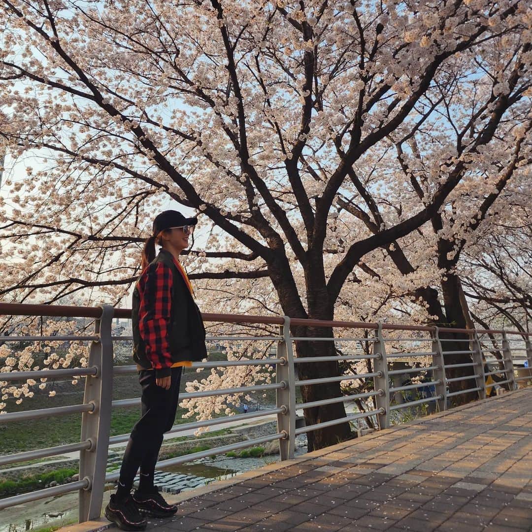 チェヨンのインスタグラム：「🌸   없어이제... ㅠ」