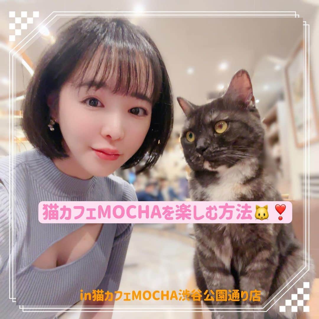 のインスタグラム：「#猫カフェmocha公式アンバサダー  として🔥猫カフェMOCHAの楽しみ方伝授しちゃう🐱🐱  今日は #猫カフェmocha渋谷公園通り に行きました💕 メリアちゃんはおやすみで居ませんでした…泣いた…。  🐱好きの私は、しょっちゅう猫カフェMOCHA様を利用していたので、アンバサダーになれてとっても嬉しいです❣️  猫カフェMOCHAの魅力をみなさんに知っていただきもっともっと猫カフェが身近なものになっていったらいいなと思っています☺️  #猫カフェmocha」