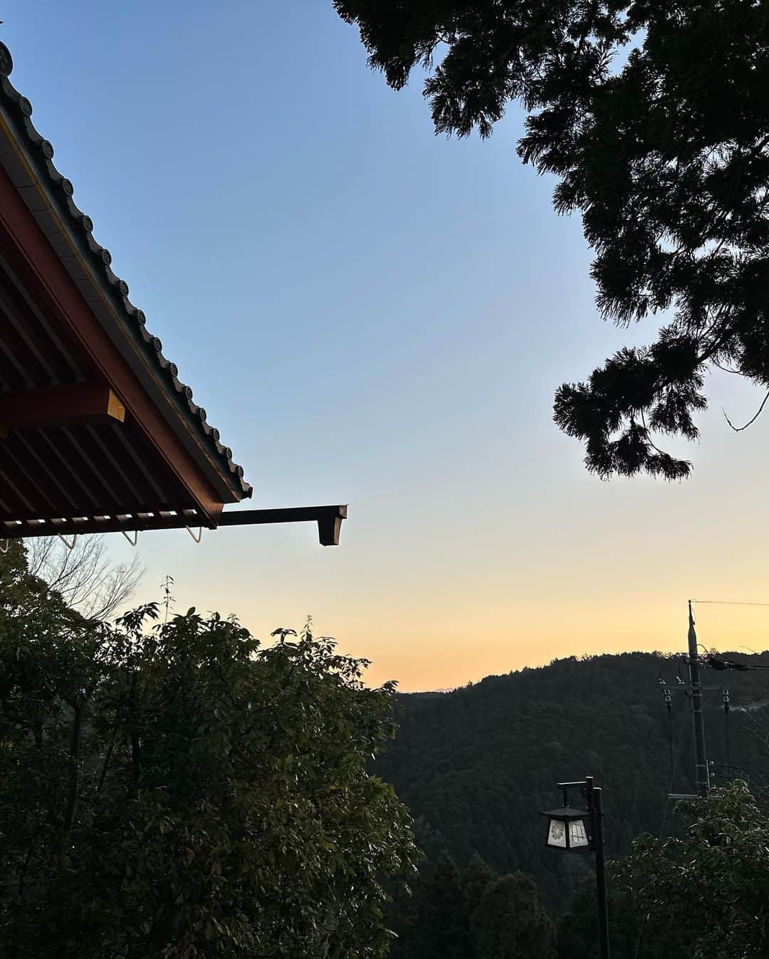 鳳真由さんのインスタグラム写真 - (鳳真由Instagram)「いつからか奈良が大好きで…  一年に一度は、どうにかねじ込んででも足を運ぶ様にしています。  特にお気に入りは吉野♪ 吉水神社が大好きなんです。  加えて、少し忙しかったりするとよく頭に思い浮かぶ 大神神社（おおみわじんじゃ） も欠かせない場所となっています。  こちらとの出会いは、奈良在住の知人からすごいパワースポットですよ！と教えて頂いたことがきっかけです。  私が語るのは畏れ多いですが、全てを受け入れてくれる様な大きさを持った神聖な場所です。  大神神社がある三輪駅の目の前には これまた絶品の 「三諸杉」を奈良漬と共に頂けるお店があります。  東京などには 平仮名の 「みむろ杉」が主に流通しているとのことで、 漢字のラベルのものは殆ど地元でしか飲めないそう！  もちろん、蔵元の今西酒造さんにもお邪魔して春酒をこれでもか！と堪能してまいりました。  季節によっても全く味わいも変わるので、制覇してみたいなぁなんて夢もできちゃった💪  そして 駅から神社までの間に、 もうもう、対面するだけで元気を頂けそうなご主人がいらっしゃるお店〈末広精肉店〉で 名物ミワコロッケも食べてみました！  衣に三輪そうめんが混ざっていて独特の食感がめちゃくちゃ美味しかったです。  記念に撮らせて頂いた写真の掲載許可も得ております。笑  「花巴」の醸造所にもお邪魔して、試飲しつつ厳選して四合瓶を家に送ったり…😍  まだまだ一部ですが、随時奈良のおすすめスポットも載せていきたいな〜！  #奈良 #古都 #吉野 #三諸杉 #花巴  #吉水神社 #大神神社」5月8日 21時16分 - ootorispecialpanic