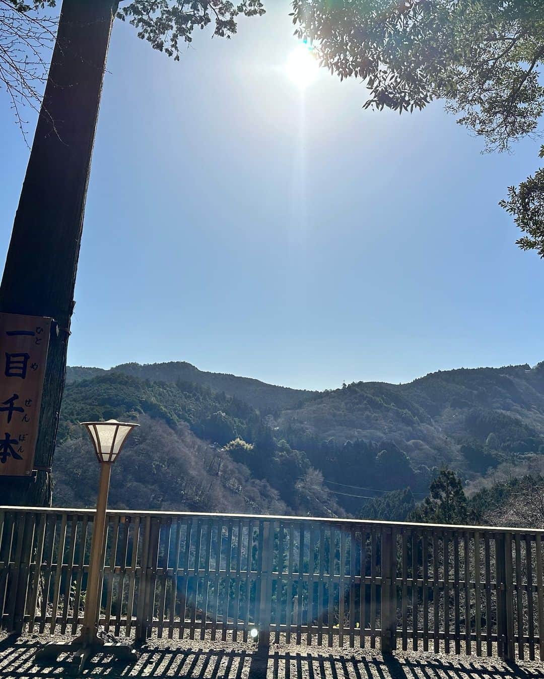 鳳真由さんのインスタグラム写真 - (鳳真由Instagram)「いつからか奈良が大好きで…  一年に一度は、どうにかねじ込んででも足を運ぶ様にしています。  特にお気に入りは吉野♪ 吉水神社が大好きなんです。  加えて、少し忙しかったりするとよく頭に思い浮かぶ 大神神社（おおみわじんじゃ） も欠かせない場所となっています。  こちらとの出会いは、奈良在住の知人からすごいパワースポットですよ！と教えて頂いたことがきっかけです。  私が語るのは畏れ多いですが、全てを受け入れてくれる様な大きさを持った神聖な場所です。  大神神社がある三輪駅の目の前には これまた絶品の 「三諸杉」を奈良漬と共に頂けるお店があります。  東京などには 平仮名の 「みむろ杉」が主に流通しているとのことで、 漢字のラベルのものは殆ど地元でしか飲めないそう！  もちろん、蔵元の今西酒造さんにもお邪魔して春酒をこれでもか！と堪能してまいりました。  季節によっても全く味わいも変わるので、制覇してみたいなぁなんて夢もできちゃった💪  そして 駅から神社までの間に、 もうもう、対面するだけで元気を頂けそうなご主人がいらっしゃるお店〈末広精肉店〉で 名物ミワコロッケも食べてみました！  衣に三輪そうめんが混ざっていて独特の食感がめちゃくちゃ美味しかったです。  記念に撮らせて頂いた写真の掲載許可も得ております。笑  「花巴」の醸造所にもお邪魔して、試飲しつつ厳選して四合瓶を家に送ったり…😍  まだまだ一部ですが、随時奈良のおすすめスポットも載せていきたいな〜！  #奈良 #古都 #吉野 #三諸杉 #花巴  #吉水神社 #大神神社」5月8日 21時16分 - ootorispecialpanic