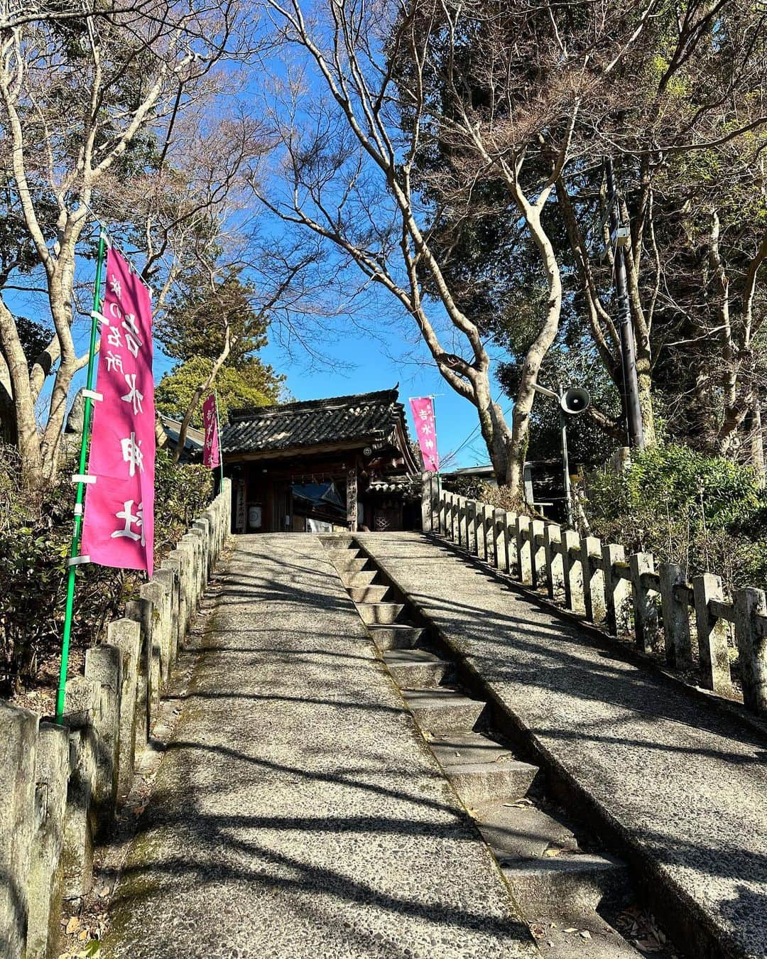 鳳真由さんのインスタグラム写真 - (鳳真由Instagram)「いつからか奈良が大好きで…  一年に一度は、どうにかねじ込んででも足を運ぶ様にしています。  特にお気に入りは吉野♪ 吉水神社が大好きなんです。  加えて、少し忙しかったりするとよく頭に思い浮かぶ 大神神社（おおみわじんじゃ） も欠かせない場所となっています。  こちらとの出会いは、奈良在住の知人からすごいパワースポットですよ！と教えて頂いたことがきっかけです。  私が語るのは畏れ多いですが、全てを受け入れてくれる様な大きさを持った神聖な場所です。  大神神社がある三輪駅の目の前には これまた絶品の 「三諸杉」を奈良漬と共に頂けるお店があります。  東京などには 平仮名の 「みむろ杉」が主に流通しているとのことで、 漢字のラベルのものは殆ど地元でしか飲めないそう！  もちろん、蔵元の今西酒造さんにもお邪魔して春酒をこれでもか！と堪能してまいりました。  季節によっても全く味わいも変わるので、制覇してみたいなぁなんて夢もできちゃった💪  そして 駅から神社までの間に、 もうもう、対面するだけで元気を頂けそうなご主人がいらっしゃるお店〈末広精肉店〉で 名物ミワコロッケも食べてみました！  衣に三輪そうめんが混ざっていて独特の食感がめちゃくちゃ美味しかったです。  記念に撮らせて頂いた写真の掲載許可も得ております。笑  「花巴」の醸造所にもお邪魔して、試飲しつつ厳選して四合瓶を家に送ったり…😍  まだまだ一部ですが、随時奈良のおすすめスポットも載せていきたいな〜！  #奈良 #古都 #吉野 #三諸杉 #花巴  #吉水神社 #大神神社」5月8日 21時16分 - ootorispecialpanic