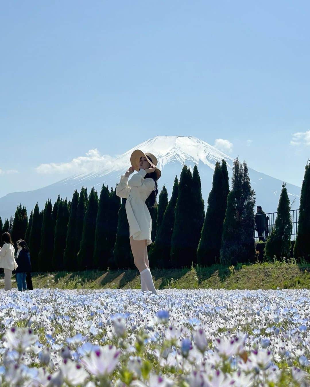 のインスタグラム：「nemophila✿     ほんとにきれい😭💞時期的にギリギリだったけど見に行けてよかった♡♡        #ネモフィラ  #花畑  #ネモフィラ畑  #山中湖  #山中湖花の都公園  #花の都公園」