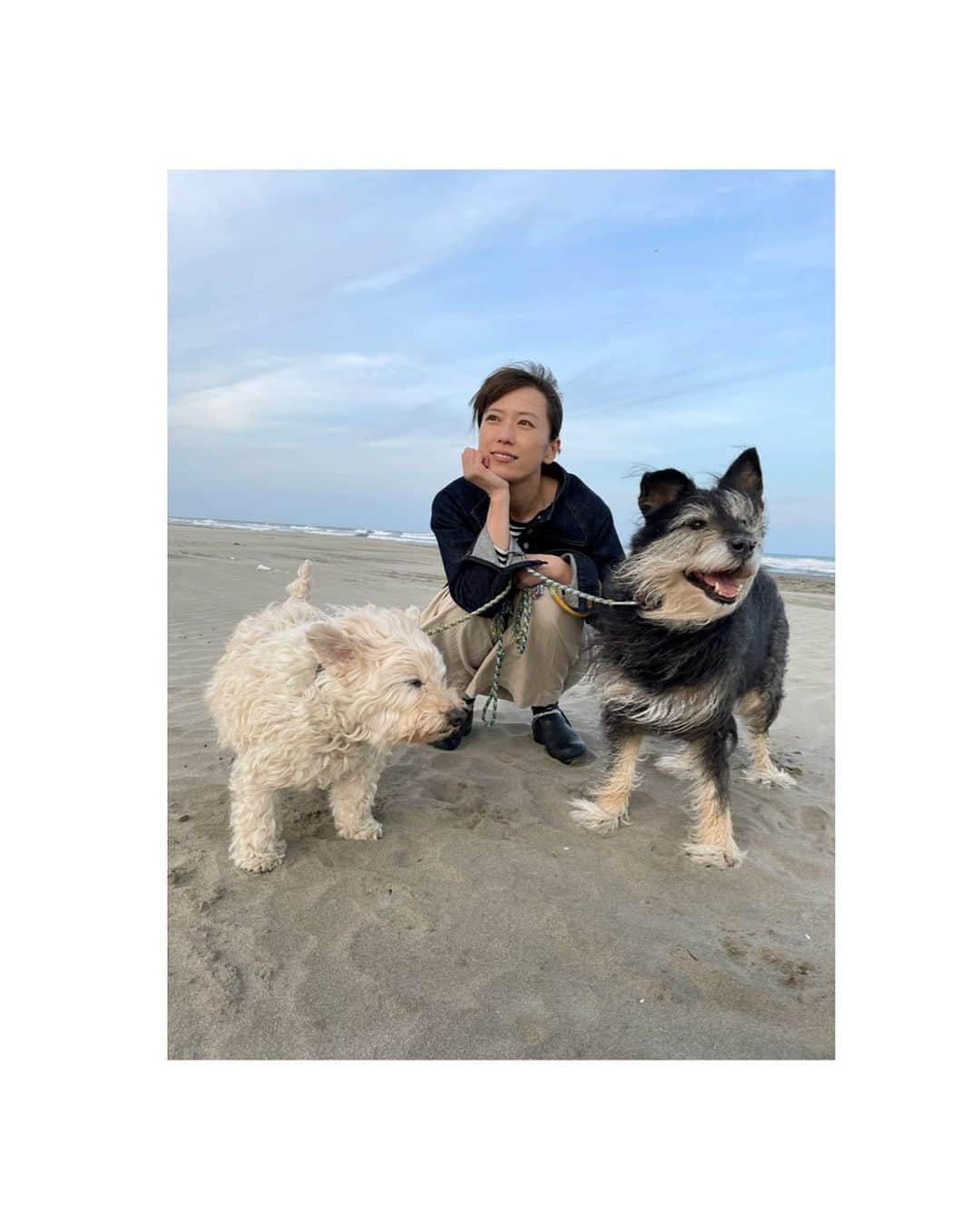 甲斐麻美さんのインスタグラム写真 - (甲斐麻美Instagram)「🌈🌈🌈  明日は ご褒美day🫶🏻💛  楽しみだなぁ  自分を思いっきり 甘やかしていい日にするんだ  😊😊😊  #20230508 #kaicoの好日 #いぬとわたし #犬とわたし #元保護犬 #保護犬を家族に」5月8日 22時03分 - kaico_asami