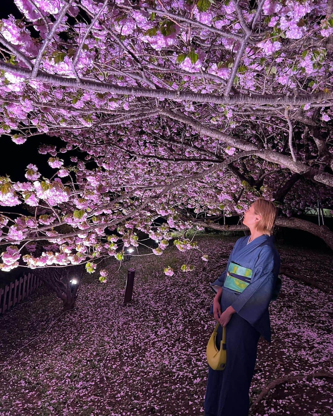 平アスカさんのインスタグラム写真 - (平アスカInstagram)「お着物で夜桜散策🌸🏯 ライトアップされてて綺麗だった！ いい感じの屋台で乾杯🍻したり温泉でまったりしたり、、🧖🏽‍♀️ セコマのアイス、種類が豊富でびっくりしたんだけど道民はさむいのにアイスが好きだからなんだね🍨 鹿児島と真逆の文化知れて楽しかった笑 #松前 #夜桜 #松前城 #桜 #着物 #温泉 #矢野旅館 #sauna #サウナ #糸括」5月8日 21時58分 - asucataira