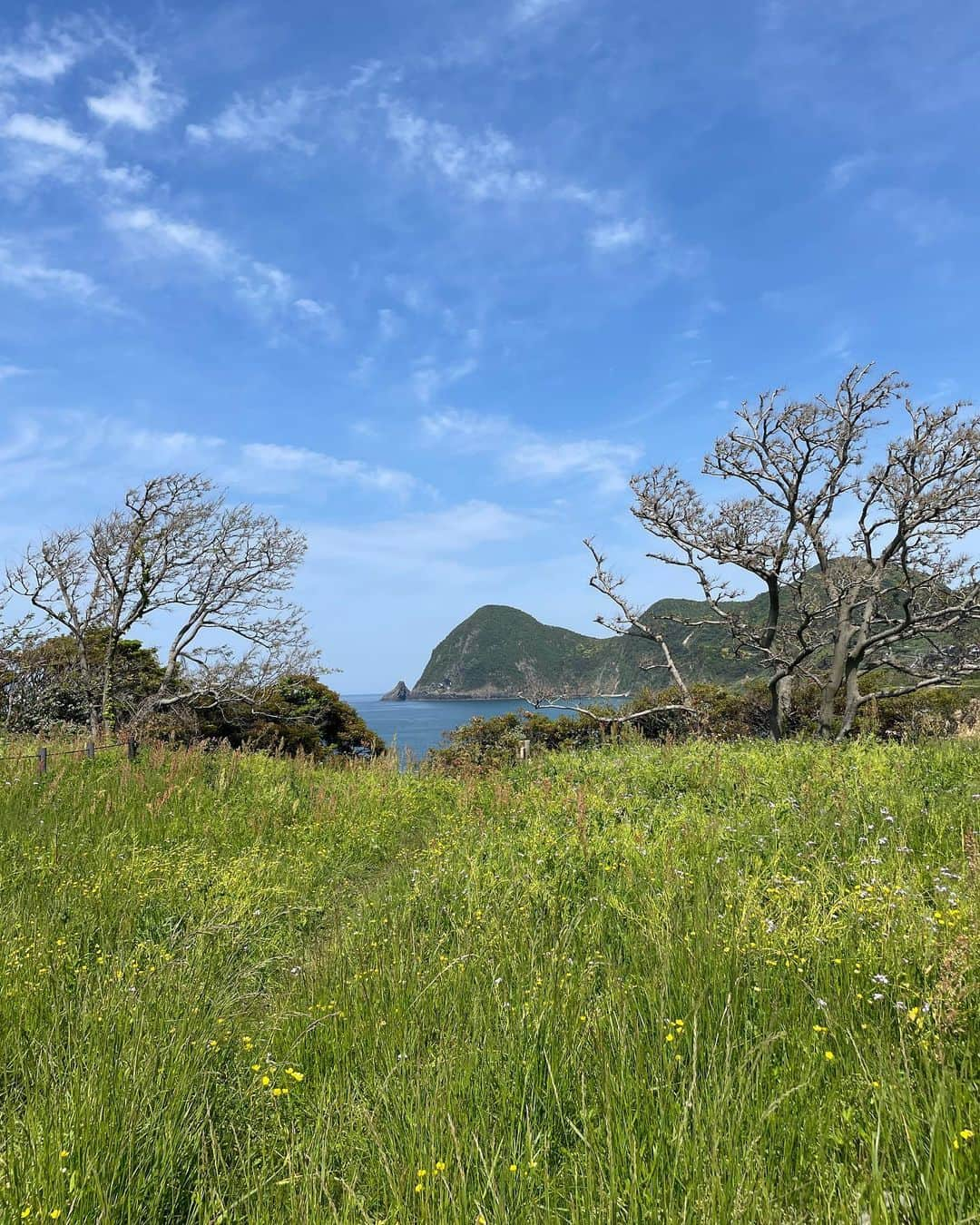 七原月乃さんのインスタグラム写真 - (七原月乃Instagram)「自然愛好会⛰️  写真に写ってるのは友達  好きしか写ってないハッピーセットな写真🎞」5月8日 22時21分 - tsukino_78