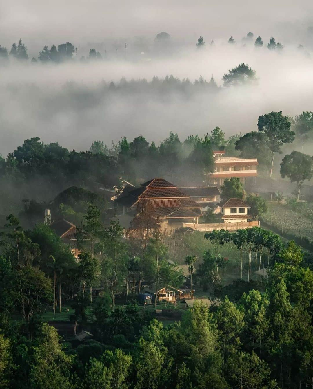 FUJIFILM INDONESIAさんのインスタグラム写真 - (FUJIFILM INDONESIAInstagram)「Matahari yang samar-samar dan kabut tipis masih menutupi lereng gunung adalah pelengkap indahnya pemandangan pedesaan di pagi hari. Jika bersua momen seperti ini, segera ambil kamera Fujifilm-mu untuk merekam momen pemandangan yanng begitu syahdu.  Kamera Fujifilm dengan segala kemudahannya akan mampu merekam foto pemandangan untuk menciptakan karya foto yang spektakuler dan tidak terlupakan. Dengan kamera Fujifil, setiap fotografer dapat menangkap setiap detail untuk menghasilkan foto dengan detail yang tajam.   Jangan lewatkan momen indah seperti ini!  Captured by @7hilmy7 Using FUJIFILM X-T3 Lens Fujinon XF 50-230 MM F 4.5-6.7 OIS II  #XT3 #XT3_id #XF50230MMF4567OISII #Fujifilm_id #FujifilmIndonesia」5月8日 14時02分 - fujifilm_id