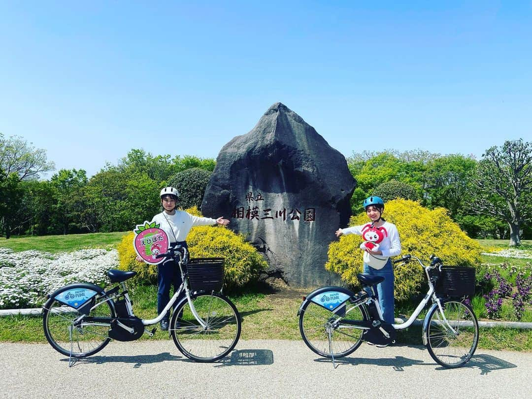 海老名市さんのインスタグラム写真 - (海老名市Instagram)「いちごとお花のカラフル＆ポップな海老名を満喫！ 「県立相模三川公園」  相模川・中津川・小鮎川の合流地点にある、県立都市公園初の河川公園です。  夕焼けの丘には芝桜が咲き、登ると公園を一望することができます。また、４月～５月にかけて開花するハンカチの木やイングリッシュガーデンのモッコウバラが見頃でした。  公園内では、散策はもちろん、大型複合遊具やグラウンド、パークゴルフ場があり、様々な年齢の方が楽しめます。  #好きです海老名 #えびぽた #住みたい住み続けたいまち海老名 #海老名市 #海老名 #ebina #シェアサイクル #県立相模三川公園 #公園 #パークゴルフ #ハンカチの木 #イングリッシュガーデン #モッコウバラ #海老名のおすすめスポット #のんびり海老名」5月8日 14時21分 - ebina_official