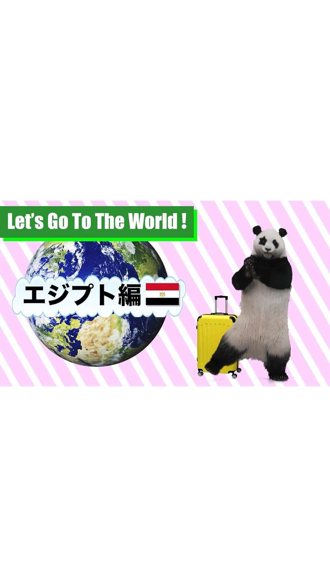 星星（セイセイ）のインスタグラム：「✈️星星の“Let’s Go To The World!” in EGYPT 🇪🇬   ✨السلام عليكم (アッサラーム・アライクム)  みんな〜 Vlog第2弾できあがったよー🐼  フランス編いっぱい観てくれて嬉しいなー Merci beaucoup ！✨  今回はエジプトに来たよ！🇪🇬 暑かったけど楽しかったなー  来週はどこに行こうかな💭•••✈︎  #星星 #パンダ #世界旅行 #星星と一緒に世界を周ろう  #seisei #panda #pandagram #travel #trip #world #travelblogger #aroundtheworld #エジプト #エジプト旅行 #egypt #loveegypt」