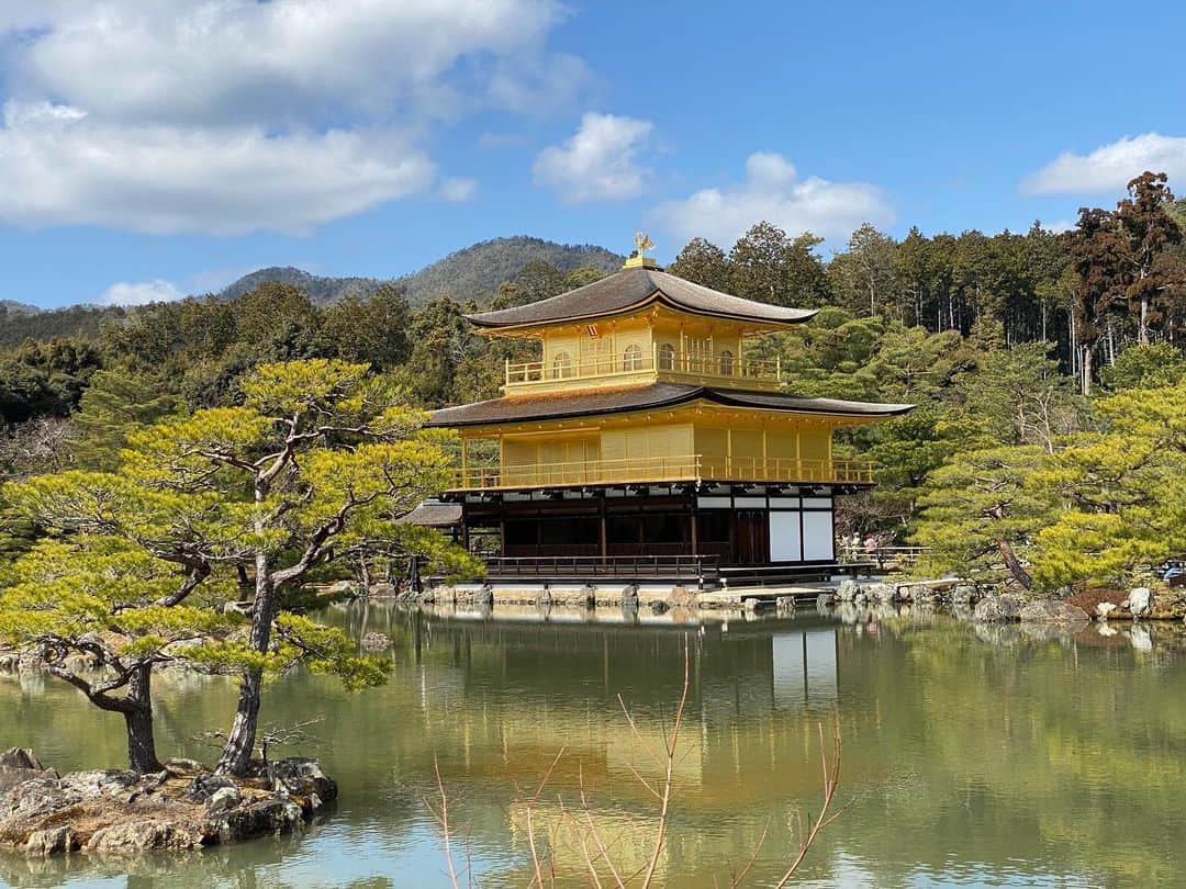 長江里加のインスタグラム：「_ 京都に着いて真っ先に金閣寺見に行きました。 前回見たのが中学生だった…相変わらず美しや……✨✨」