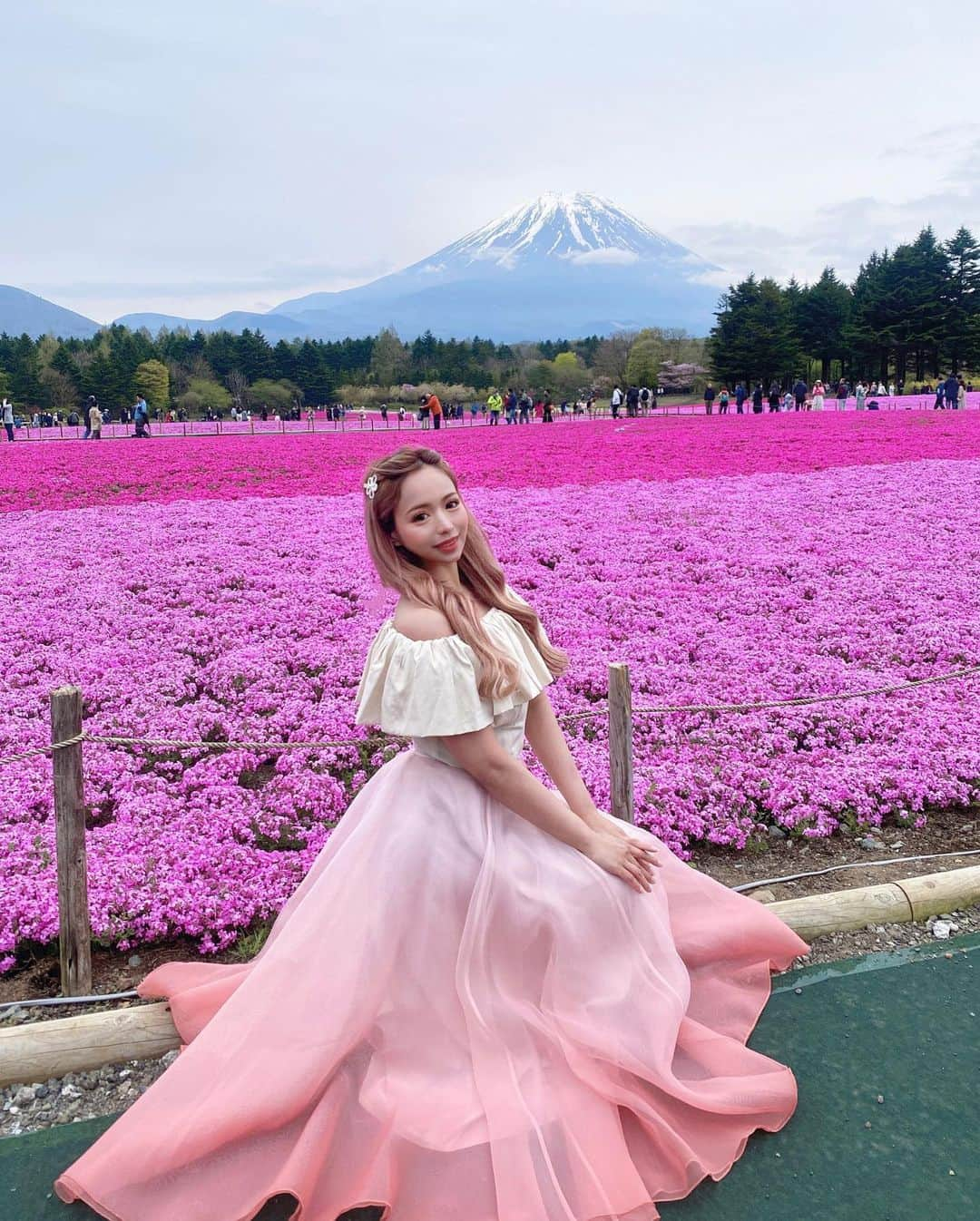 ぽょ姫のインスタグラム：「🗻×🌸 ⁑ 天気は曇りだったけど富士山見れました♡ 芝桜はタイミング良く満開で一面を埋め尽くす ピンクの絨毯広がっていて美しかった🥺💓 Youtubeにて毎日リアルタイムで芝桜の 開花状況や混雑状況が配信されているので 確認しながら計画した甲斐がありました✨ チャンネル名「フジヤマNavi」 ⁑ ⚘ 富士本栖湖リゾート 🚩 山梨県南都留郡富士河口湖町富士ヶ嶺２１２  #富士山 #富士山🗻 #富士芝桜まつり #富士芝桜祭り #富士芝桜フォトコンテスト #富士本栖湖リゾート #富士本栖湖 #富士本栖湖リゾート芝桜 #ピーターラビットイングリッシュガーデン #ダイアモンド富士 #芝桜 #芝桜まつり #山梨観光 #山梨 #山梨旅行 #河口湖 #河口湖観光 #観光スポット #春の風物詩 #japan #japantravel #japantrip #fujisan」