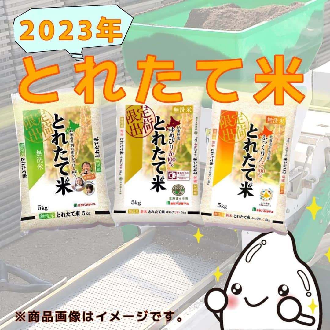 ミツハシくん-Mitsuhashi Rice-のインスタグラム：「北海道から「とれたて米」のお知らせ🌾  2023年の「とれたて米」がスタートするよ🎊  4/25に「播種（はしゅ）」作業をしたんだ！ 播種作業は種まきのことで、その時の様子をお届け～🕊️  ミツハシの北海道事業所のメンバーもお手伝いしたよ🤝  そして… みんな稲の発芽姿って見たことあるかな？🧐 それは…4枚目の写真！ 4/29に発芽していたよ✨ ここから元気に苗が育つといいな～🌱  苗が育てば次は田植え❗️ 5月下旬に田植えをする予定だよ！  今年の「とれたて米」も楽しみに待っててね❣️ . #ミツハシくん  #ミツハシライス  #企業キャラクター  #お米 #米 #ご飯 #ごはん #rice   #北海道  #とれたて米  #とれたて  #農業 #農家 #田んぼ #米作り  #稲作 #播種 #種まき」