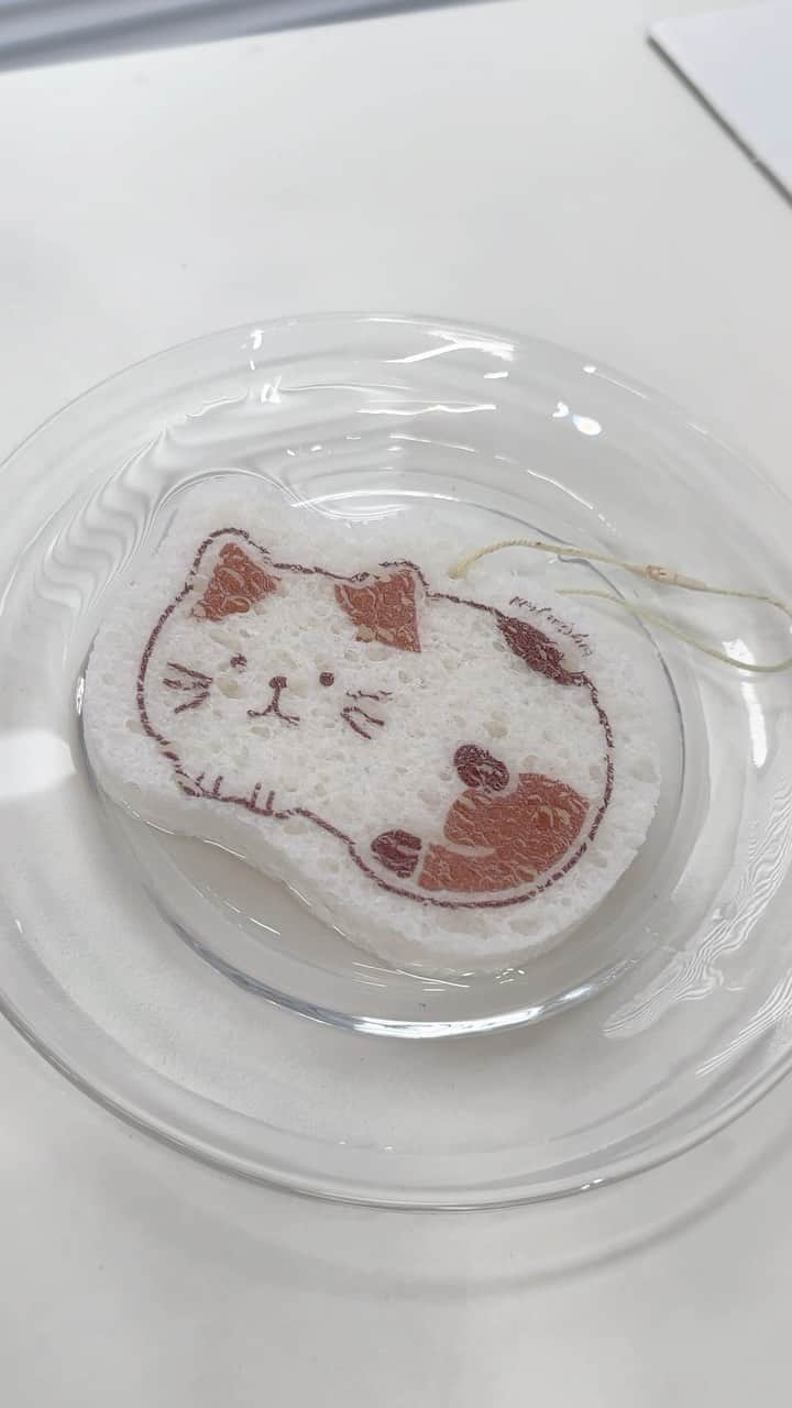 のインスタグラム：「These under $1.50 sponges clean up nicely 😜🧽🫧   🔗:https://shein.shop/q9os3u7  #SHEIN #SHEINstyle #fashion #chic #saveinstyle #SHEINhome」