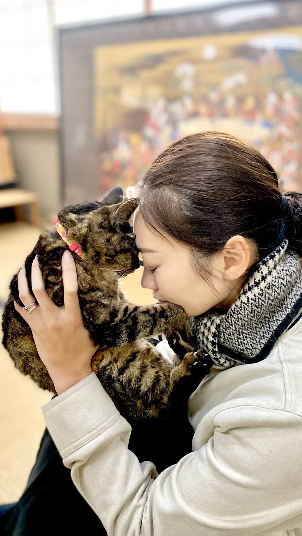 SAORIのインスタグラム：「🐈R.I.P ソラ  会ったことある友達もたくさんいるので ここで報告させてください。 20年連れ添った私の愛猫ソラが 5月6日に亡くなりました。 長生き老猫だったから覚悟はしてたんだけど やっぱりツラすぎて心がぽっかりとっても寂しいです。 本日、葬儀を終えました。  世界一美人で世界一おだやかで優しくて 世界一良い子でした。 甘えん坊なところ、 抱っこは必ず左肩に顎のせるところ、 生まれた時からダミ声なところ、 お風呂やトイレにもついてくるところ、 赤い首輪が似合うところ、 20歳になってもツヤツヤな毛並み、 大人しく爪切りさせてくれるところ、 お風呂を嫌がらないところ、 綺麗なヘーゼル色の瞳、黒くて柔らかい肉球、 ふかふかもふもふなお腹。 他にも大好きなところがたくさんあるよ。  20歳でも立派な歯を持っていて、 息子と追いかけっこしてくれたり、 毎日毎日ジョリジョリの舌で 私の顔を舐め回して甘えて、 私の肌が荒れるのではないかと心配になったこともあったよ。 ちょっと匂うソラの香りが好きでした。 もうクンクンできないのは悲しいよ。  息子が生まれてから体調を崩すようになり 猫は鼻呼吸しかできないのに、鼻が詰まって 呼吸を苦しそうにしてたこの一年。 最後は私の腕の中で、大きく深呼吸するように 安らかに眠りました。  ソラには感謝しかなくて、 毎日毎日愛してるよ大好きだよ可愛いねって言ってたけど ちゃんと伝わってたかしら。 もっともっと伝えれば良かった。 もっともっと一緒に居たかったし、 もっともっと甘えさせてあげたかった。 でも20歳まで大きな病気もせず長生きしてくれて、 手もかからず健康で親孝行で、 本当に大好きで大切でした。  私がメソメソしてると黙って顔を舐めてくれて いつも愛情いっぱいで包んでくれて、 私は20年すごく幸せでした。 本当に本当にありがとう。 またどこかで会えるのを楽しみにしてるよ。  No one can take your place in the world. I’m so happy to have gotten to know you. You’re my everything.　 I love you forever. May she rest in peace.   愛猫そら @soragram35  享年20歳2ヶ月 2023/5/6」