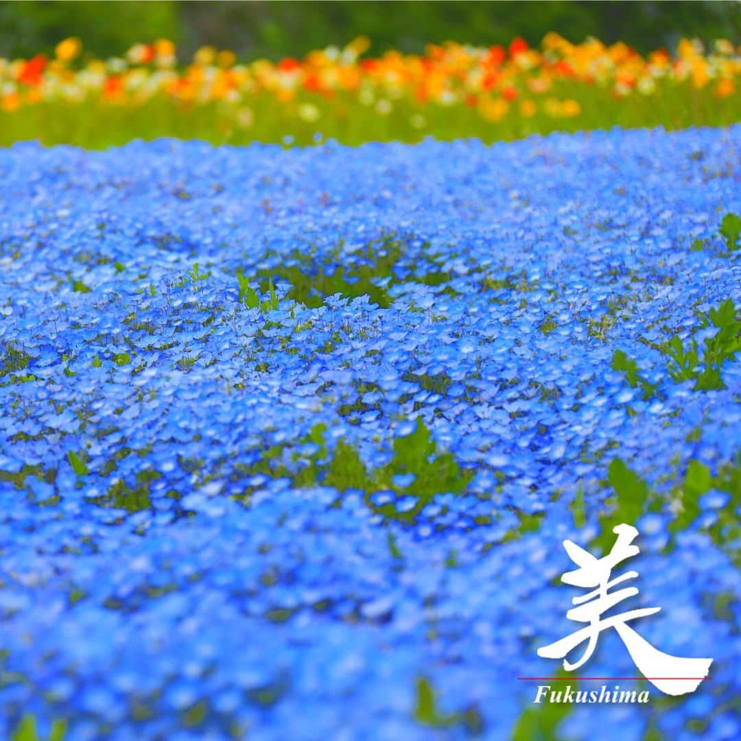 福島県のインスタグラム