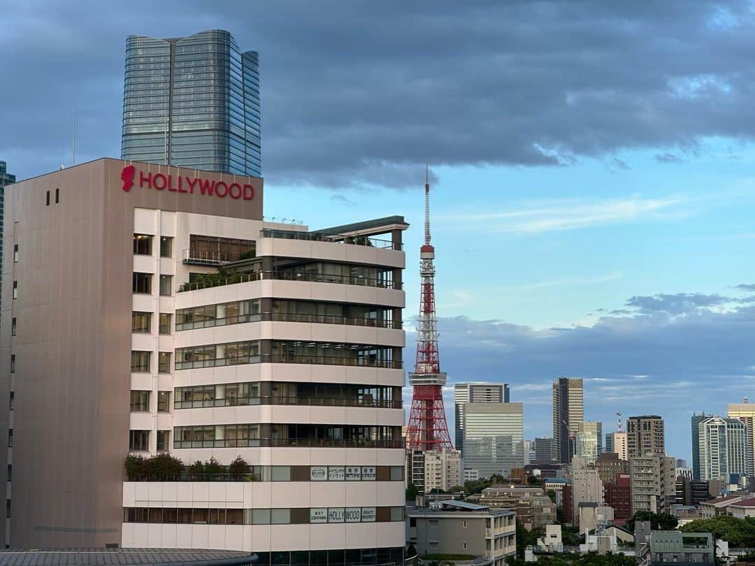 津田大介のインスタグラム：「おっ晴れてきたじゃないですか東京。」