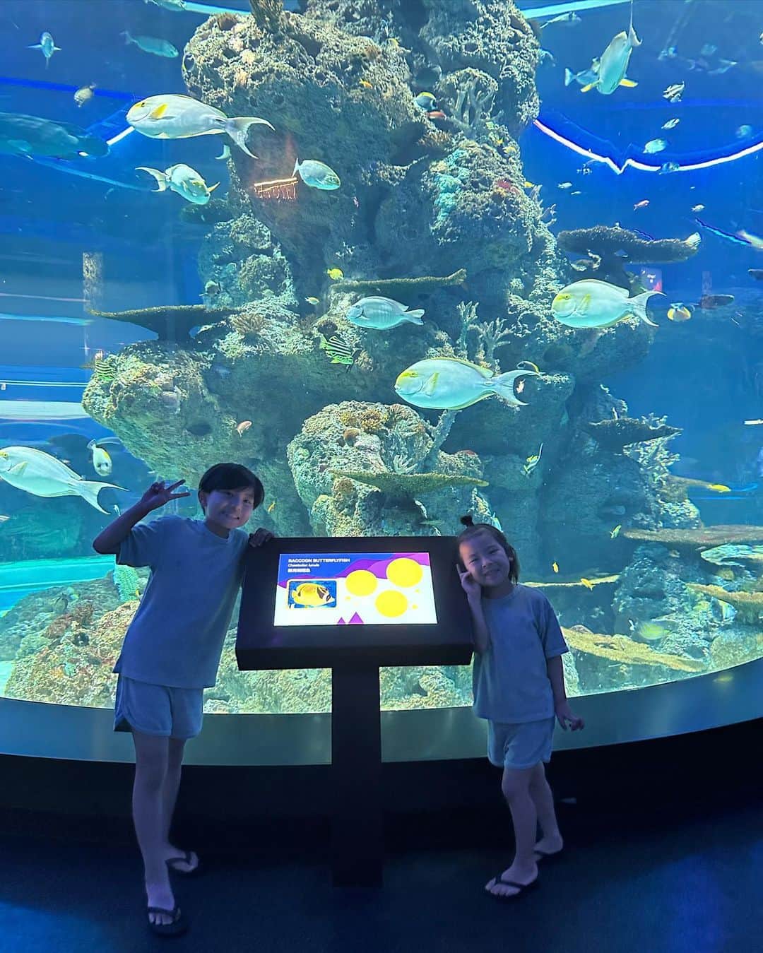 春名亜美さんのインスタグラム写真 - (春名亜美Instagram)「息子達が楽しみにしていた場所の一つ。 @s.e.a.aquarium 🐬  世界最大級の水族館だそうで、思ってたより全然広くて、存分に楽しめました🐠  屋内でエアコンがきいてるのも、ありがたかったー🥹 なんせ、外は湿気と暑さが凄まじく、息してるだけで汗だく。😇  普段9割喧嘩している2人ですが、水族館とプールにいるときは比較的仲良くなります😌  しかも空いてて見やすかった←これ大事w  水族館や動物園の出口直前に必ずある、通らずには出れなくなってる仕組みのSHOP。  我が家はそのSHOPでまんまと毎回お買い物をするのですが、今回次男が選んだのはタコでした🐙  次男はぬいぐるみならなんでも良いわけではなくて、手触りを重視します。 どんなに見た目が可愛くても、フワッフワじゃないと買わない😂 今回はタコの手触りがお気に召したようです  #セントーサ島 #シンガポール #ll_旅記録 #シンガポール旅行 #子連れシンガポール #子連れ旅行 #singapore #シーアクアリウ#SEAAquarium #seaaquariumsingapore #シンガポール水族館」5月8日 17時51分 - amiharunaami