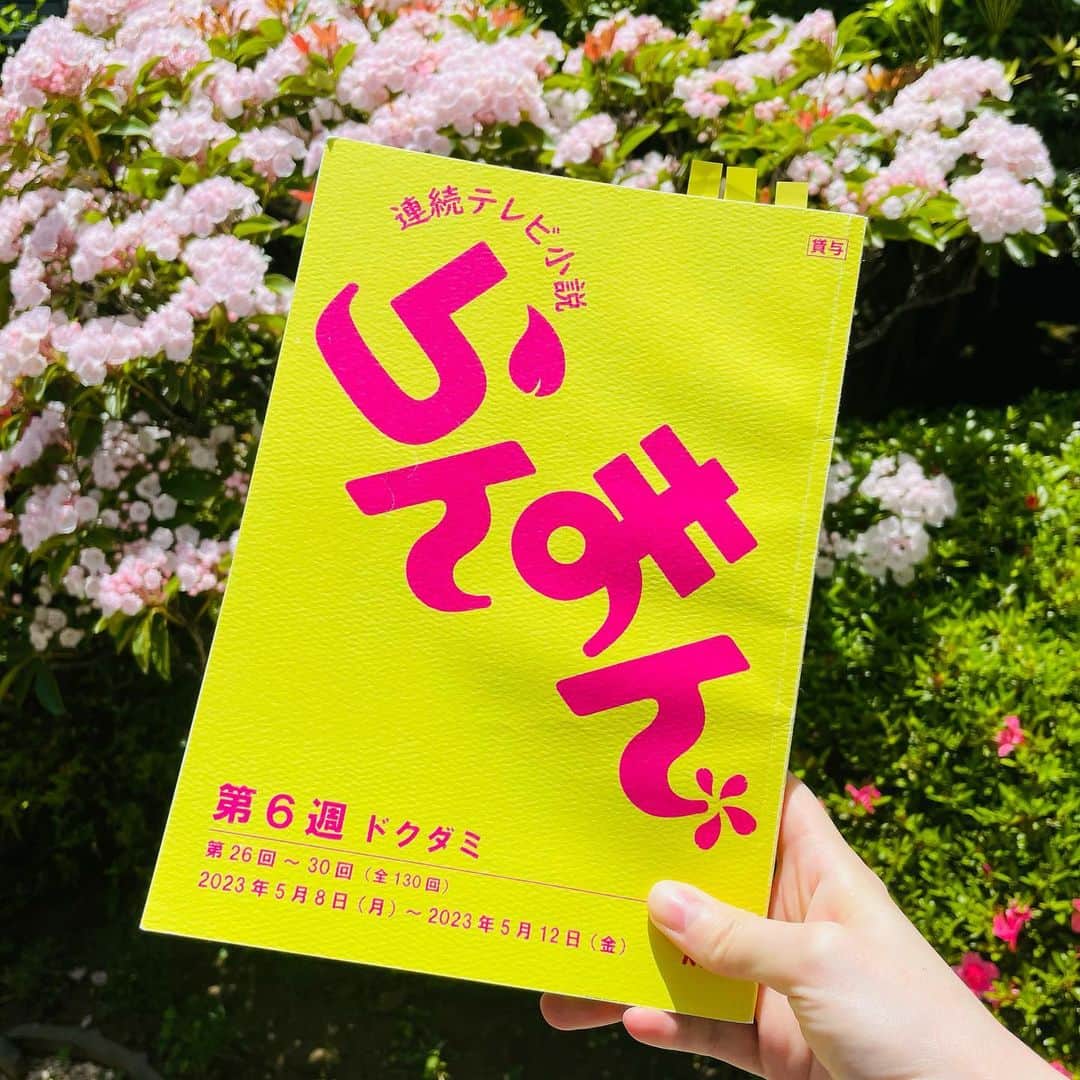 のインスタグラム：「明日放送！ NHK連続テレビ小説 「らんまん」 第6週「ドクダミ」27話 5/9(火)8:00〜8:15 5/9(火)12:45〜13:00(再放送)  3週目に引き続き牛鍋屋の女中さん役です。 観てねー！  #nhk #朝ドラ  #らんまん  #朝ドラらんまん  #連続テレビ小説らんまん  #神木隆之介 さん #志尊淳 さん」