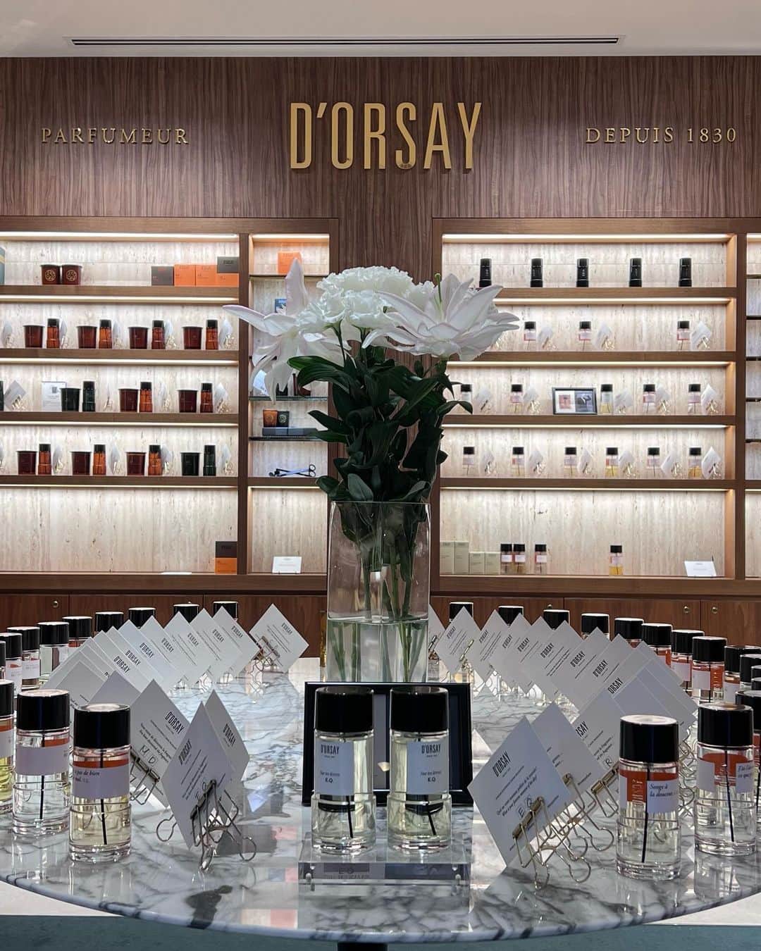 目見田早弥子のインスタグラム：「@dorsay.japan 📓🌿 E.Q. ⸝⋆」
